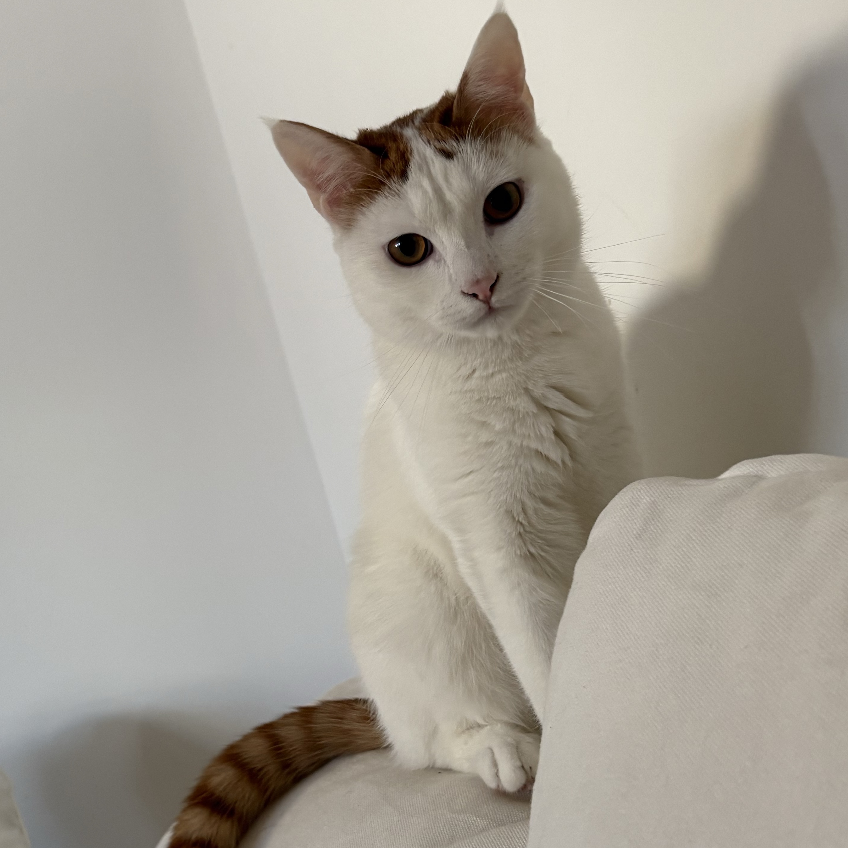 Matilda