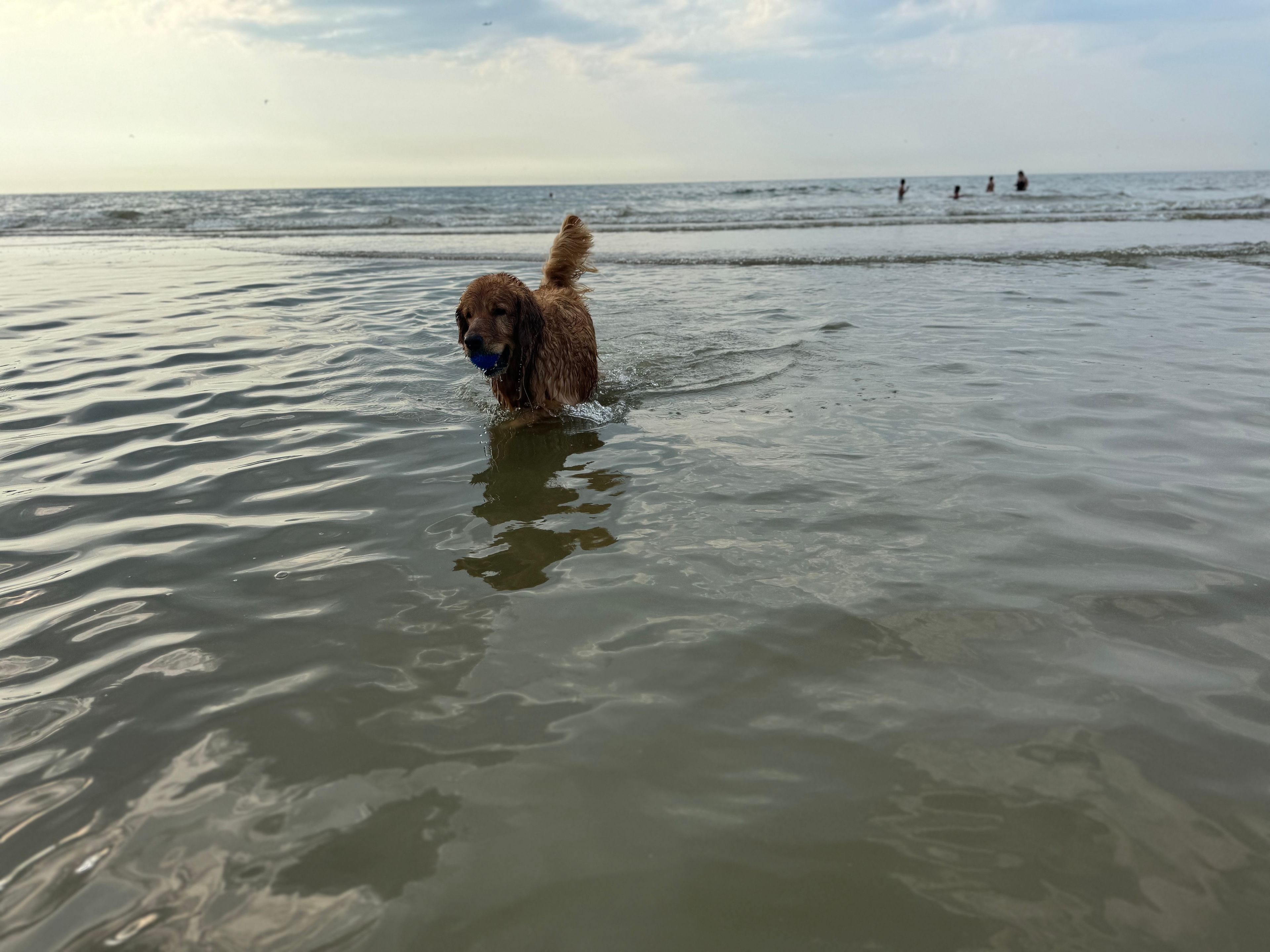 image-13