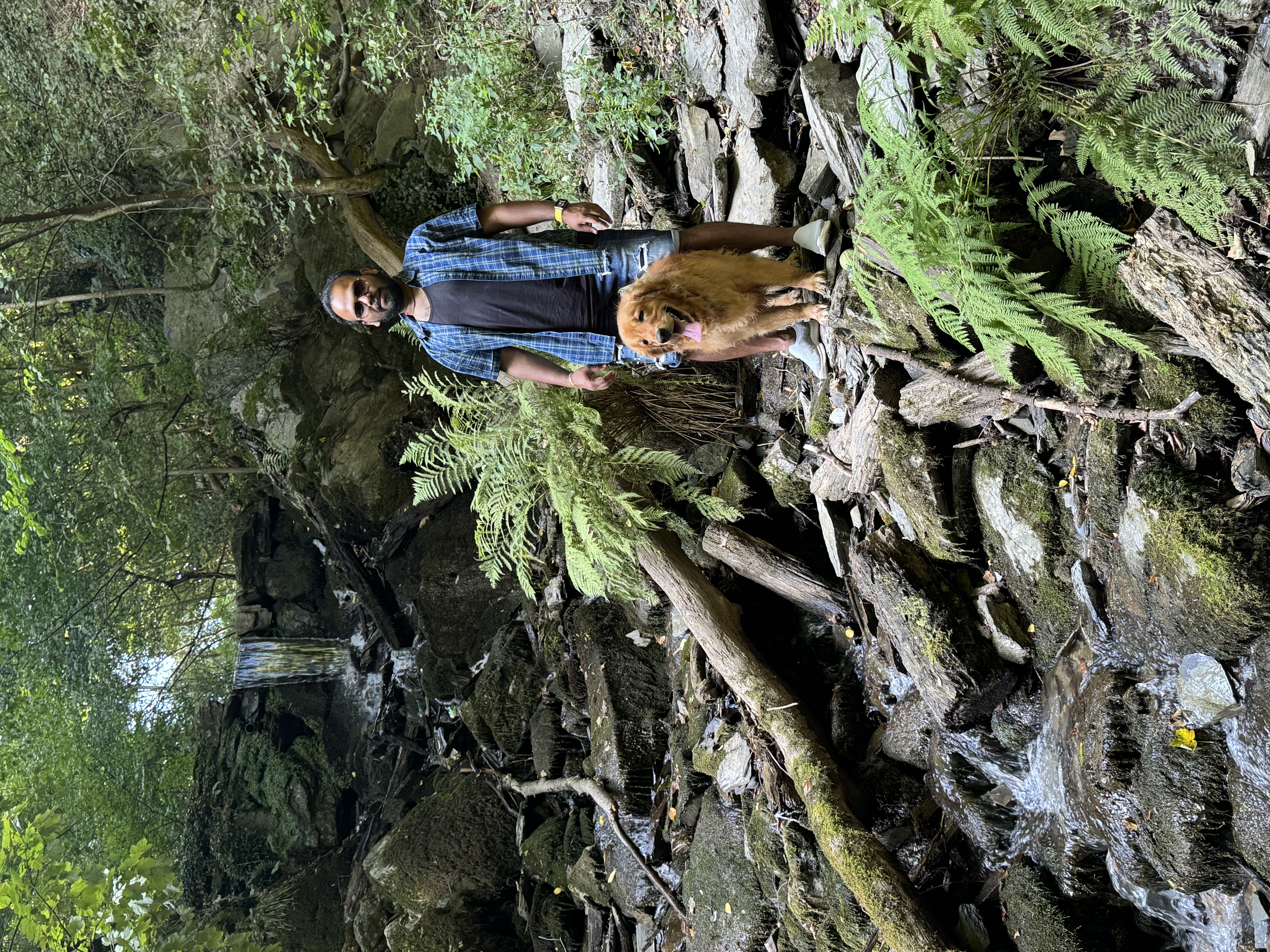 image-17