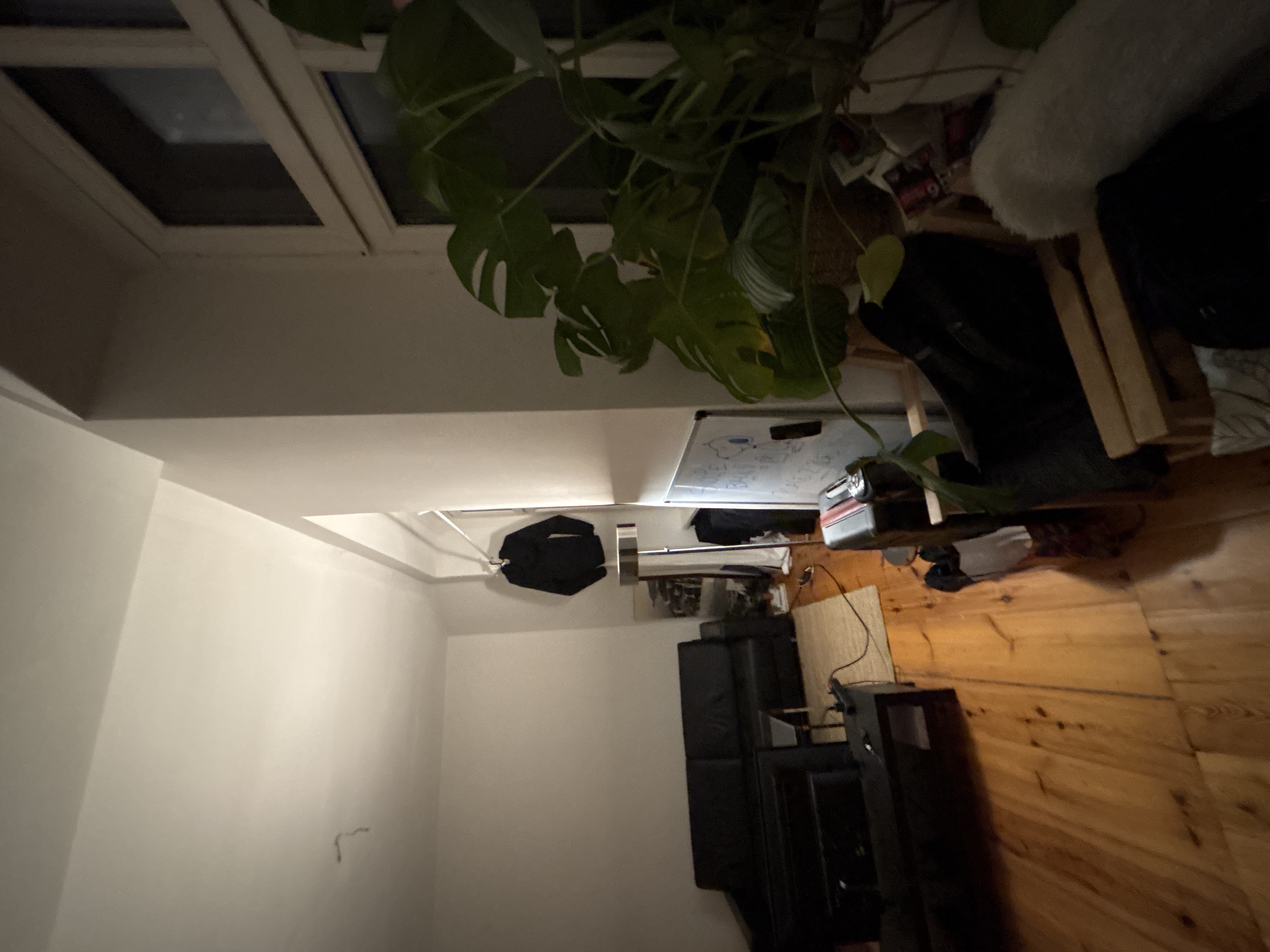 image-19