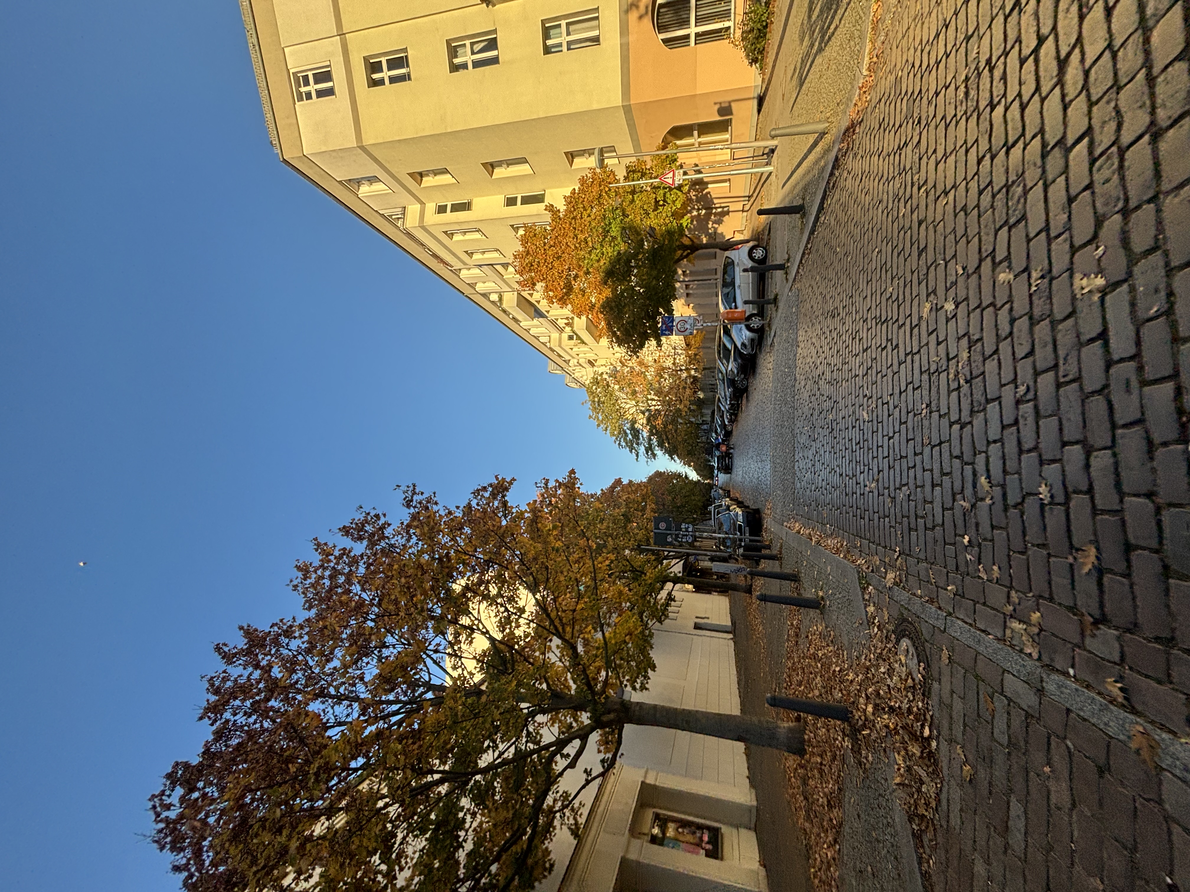 image-22