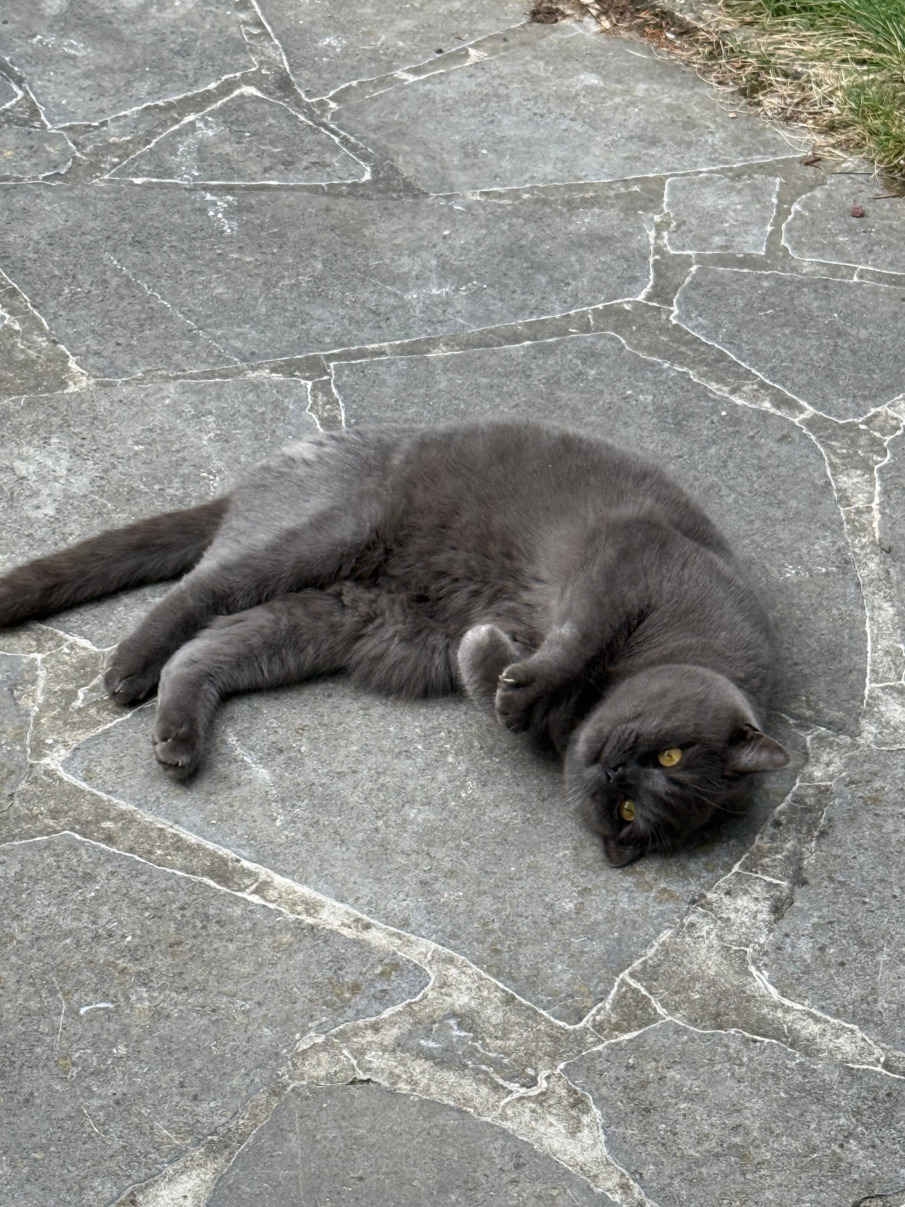 image-11