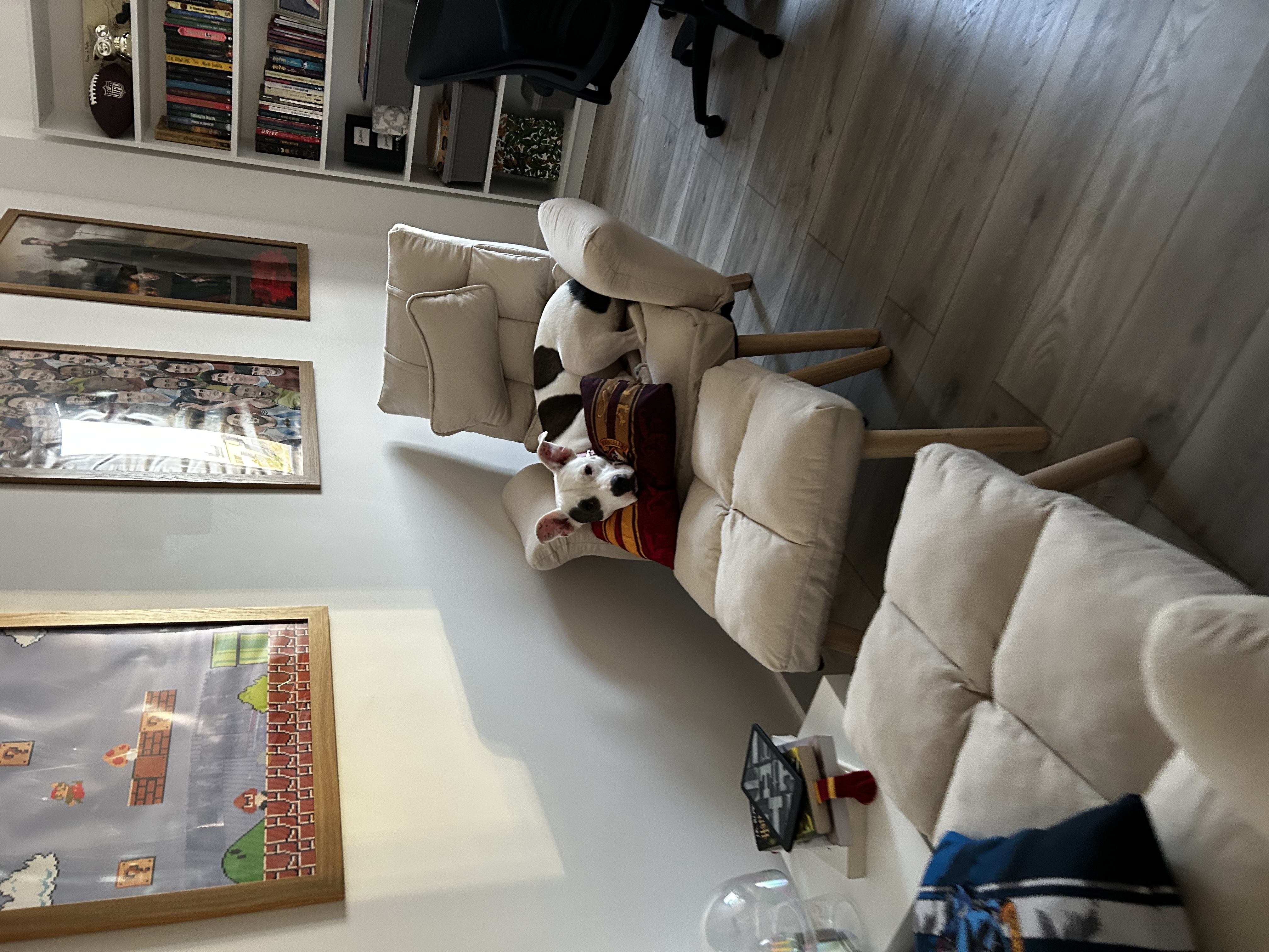 image-12