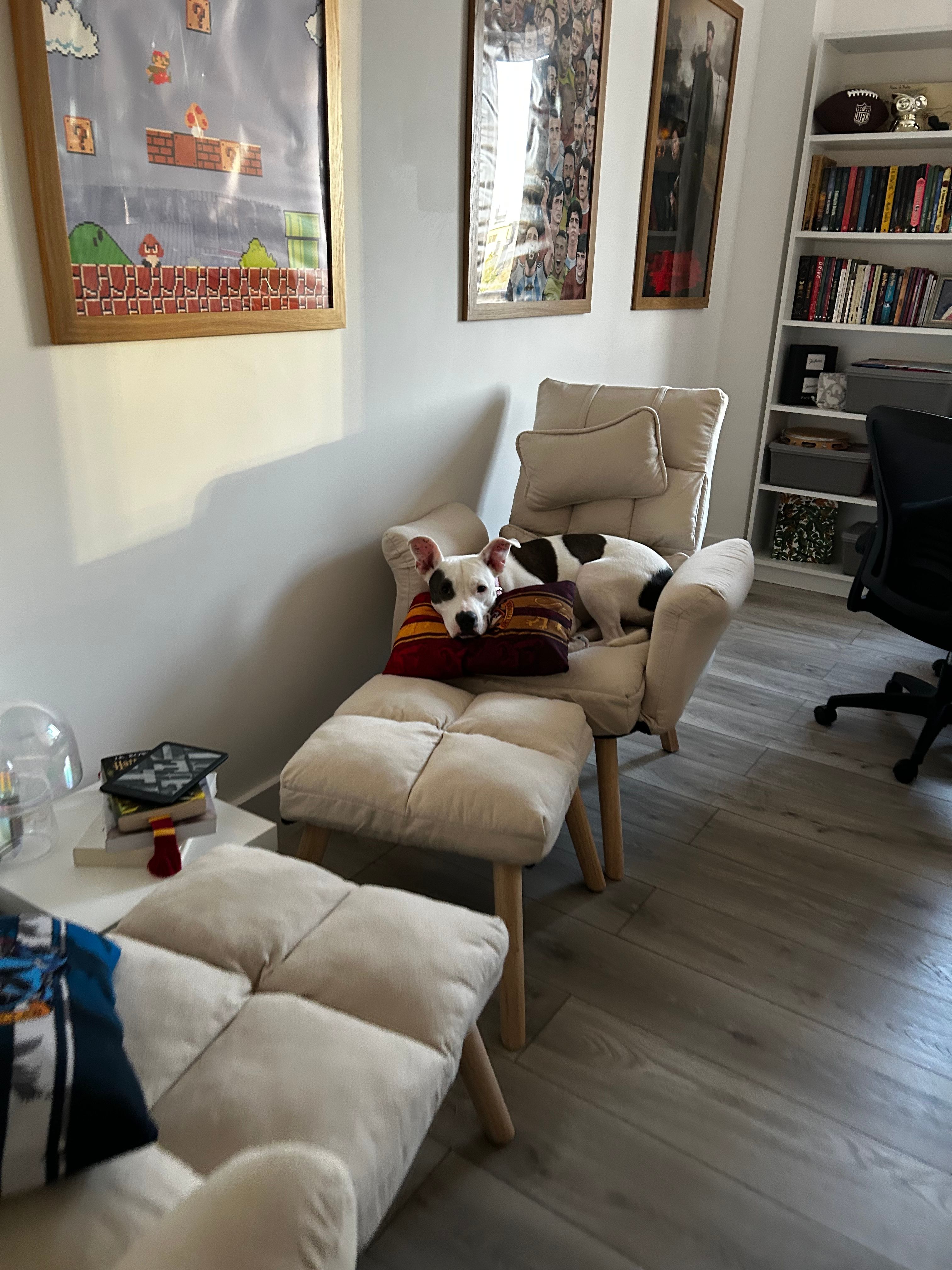 image-12