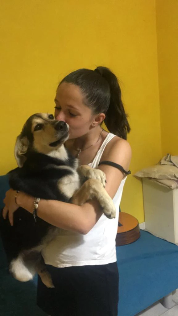 image-7