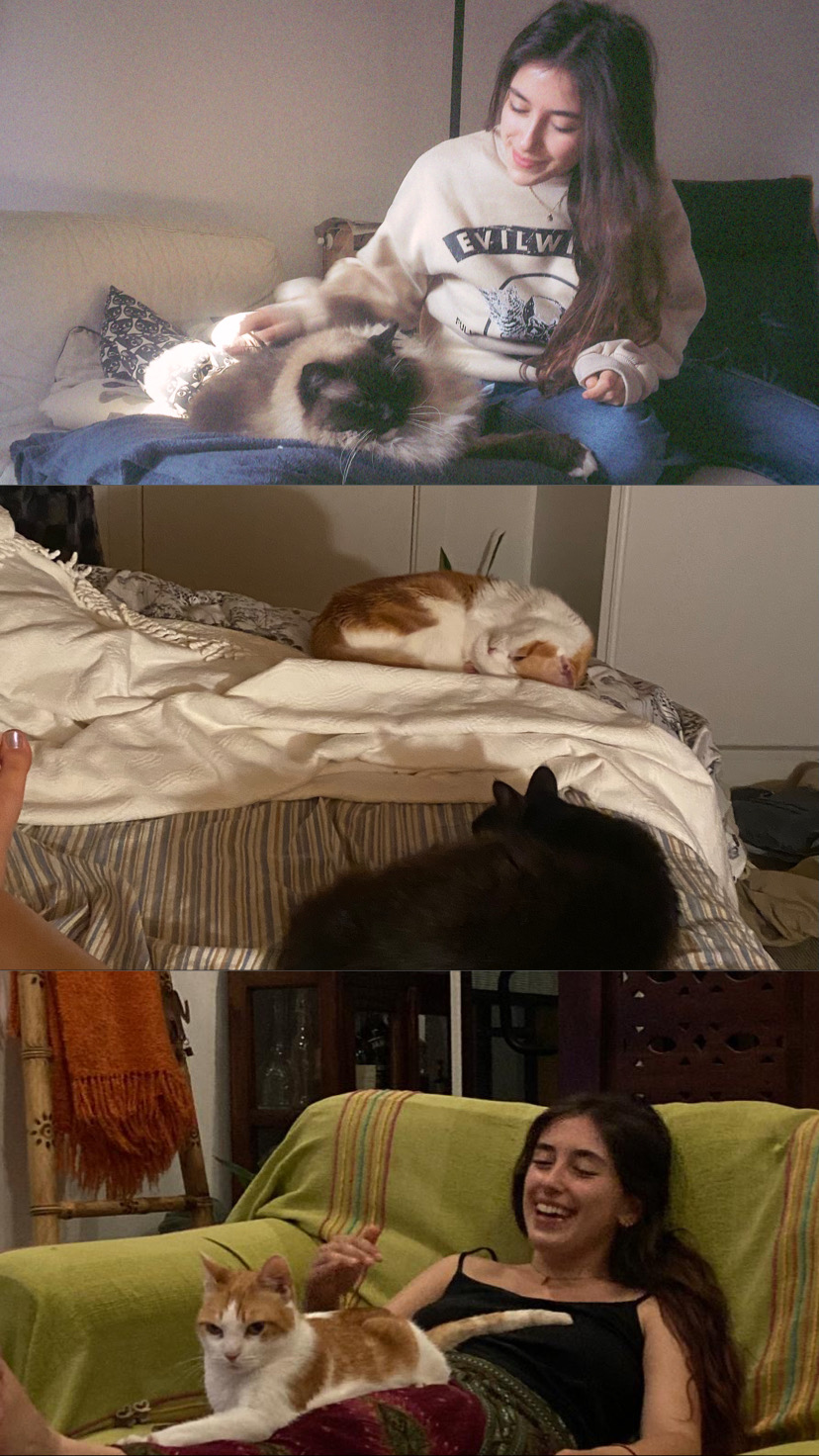 image-14