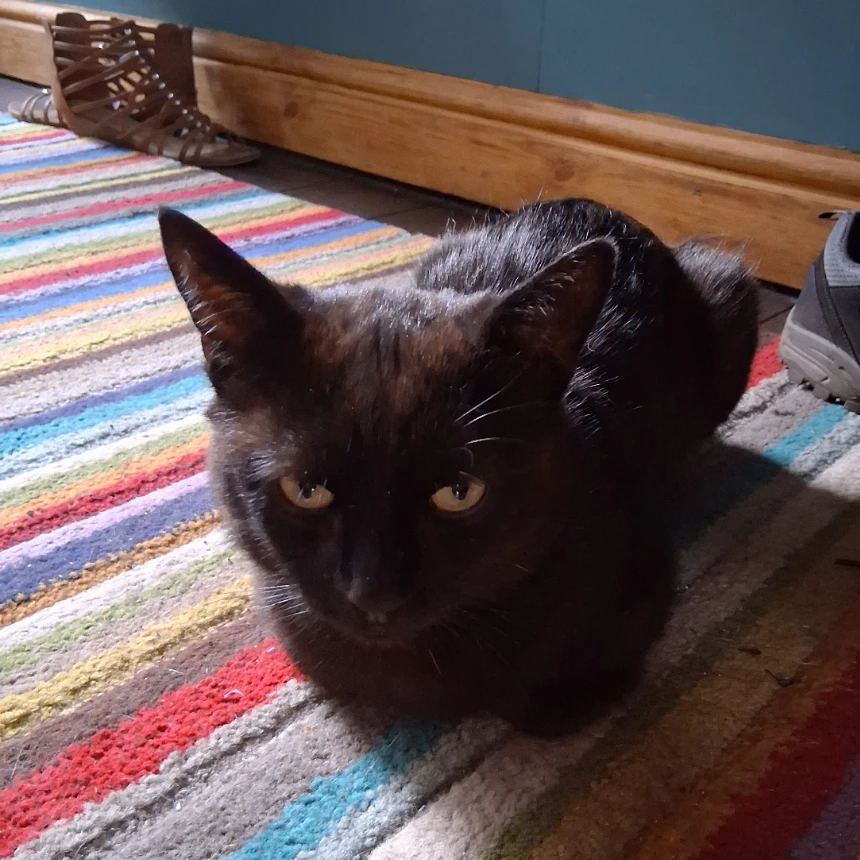 Oscar
