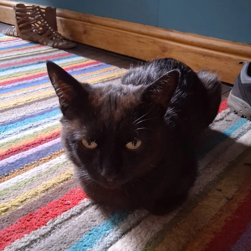 Oscar