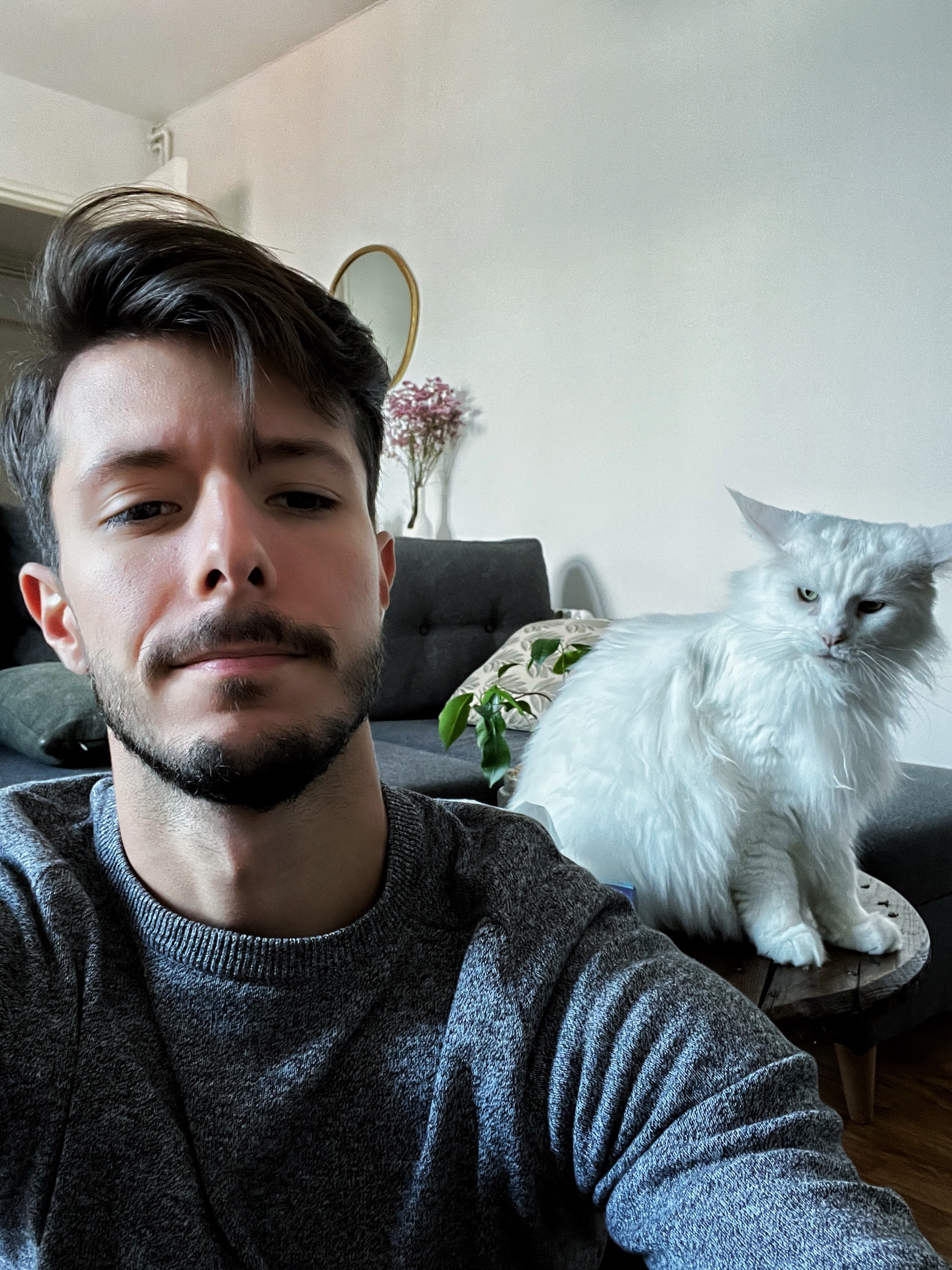 image-8