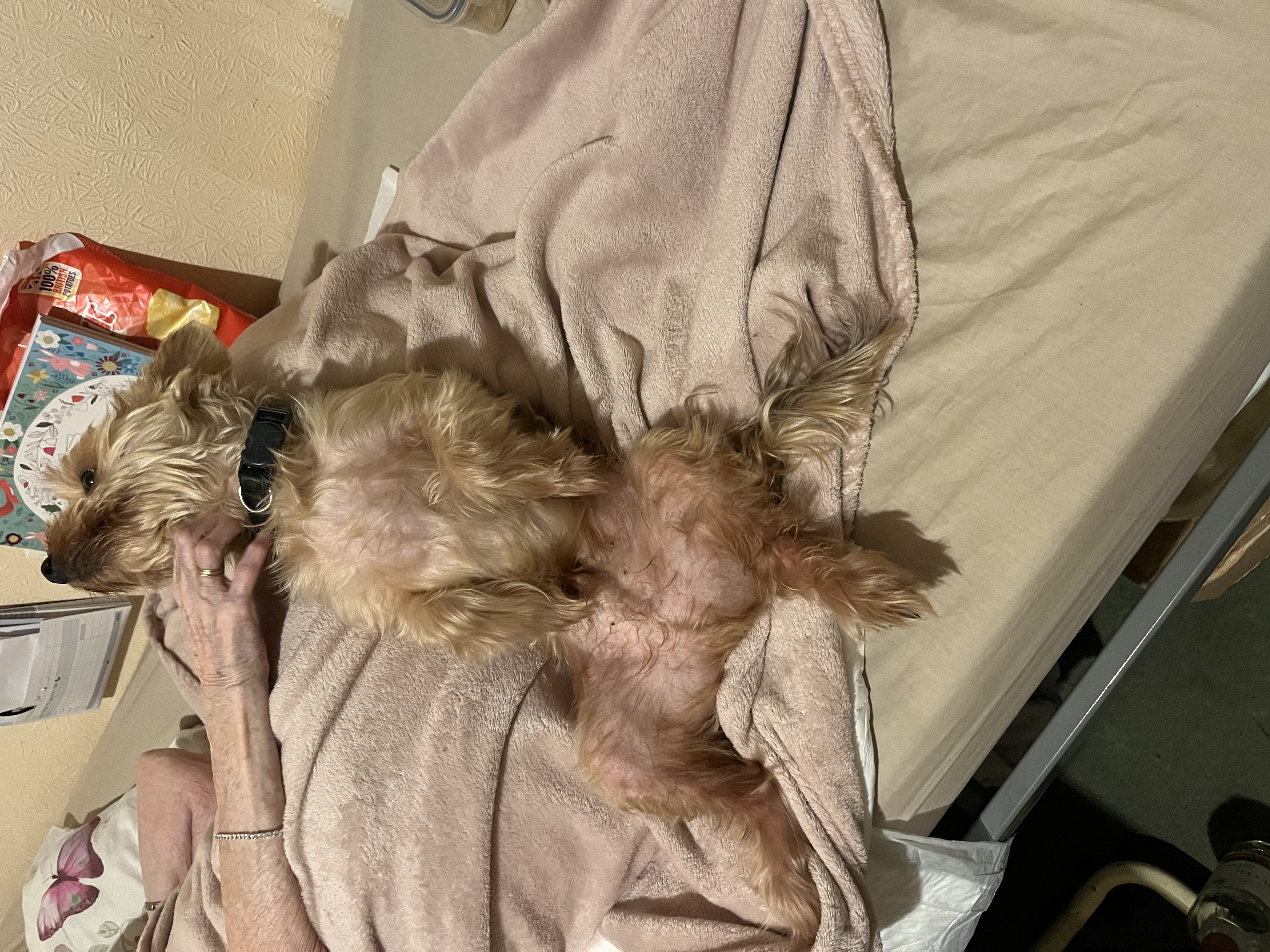 image-8