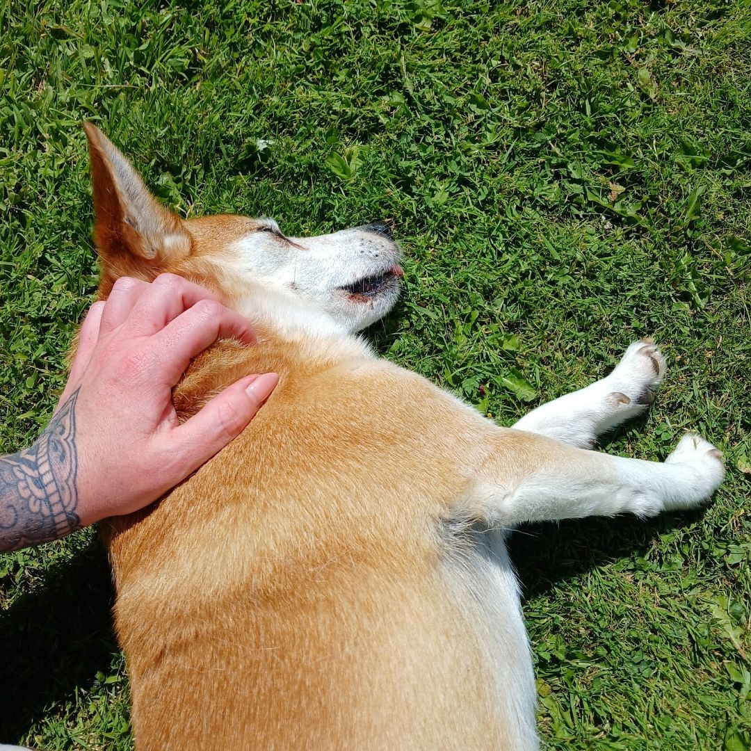 Benjy