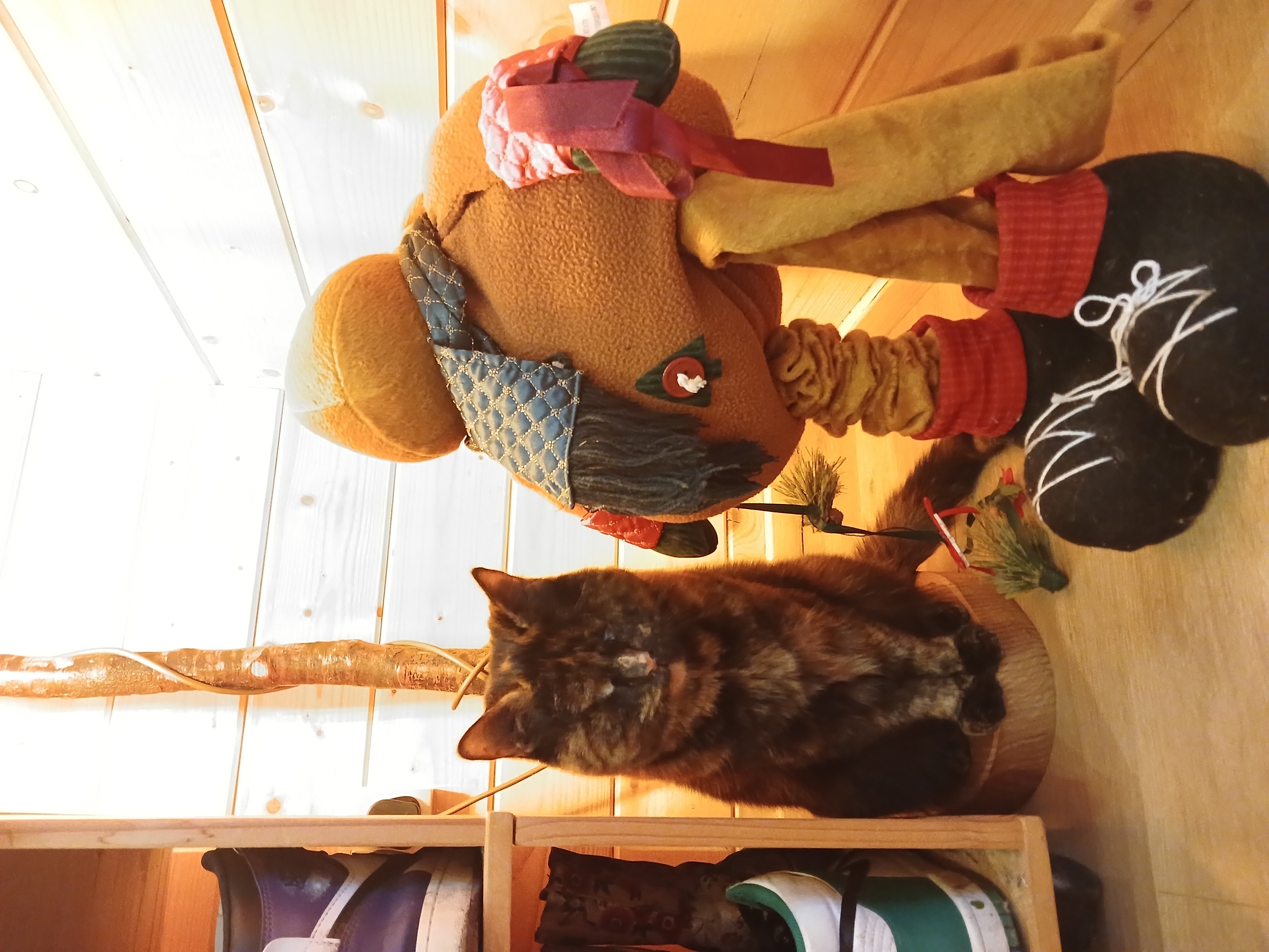 image-8