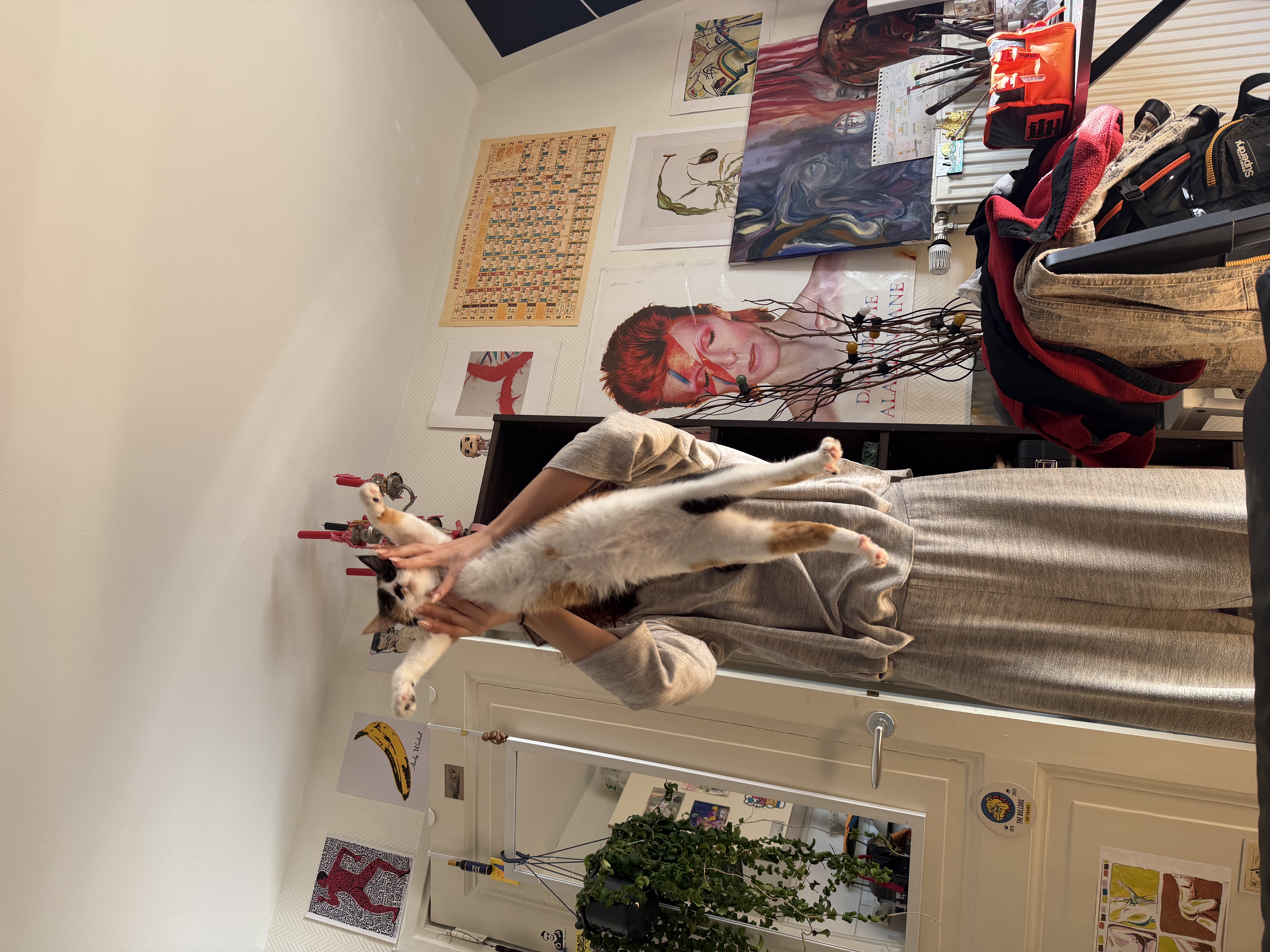 image-8