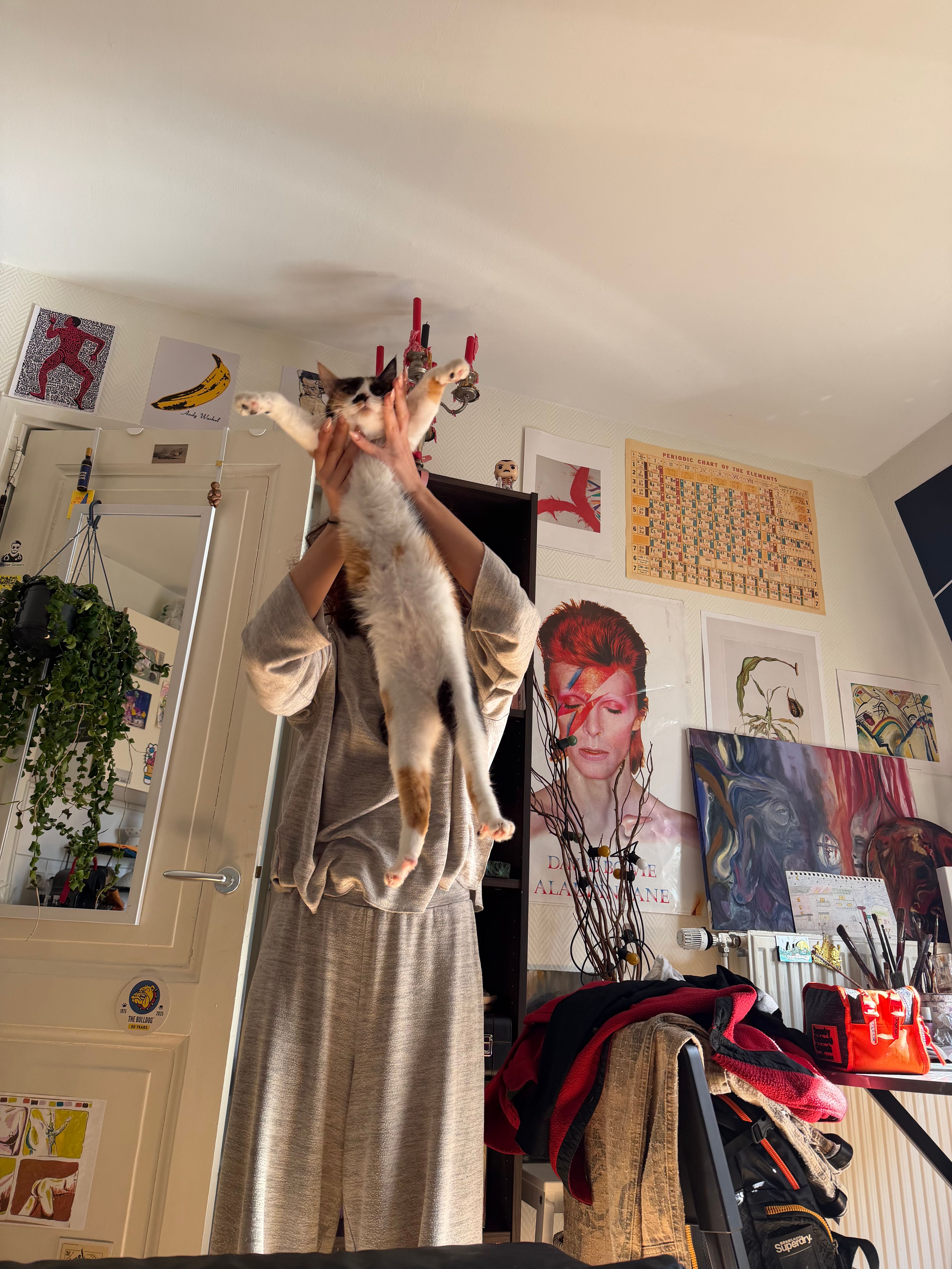 image-8