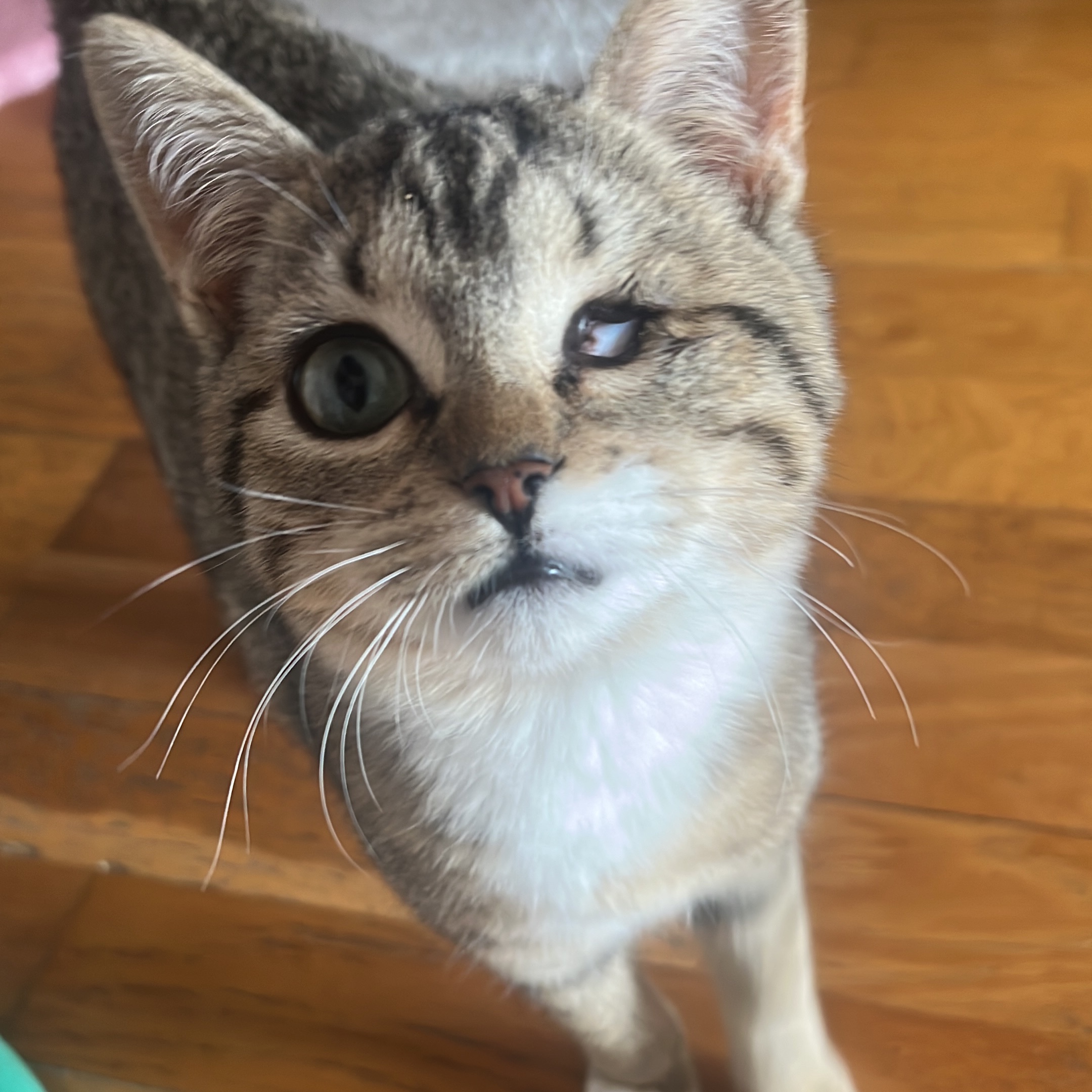 Elly 