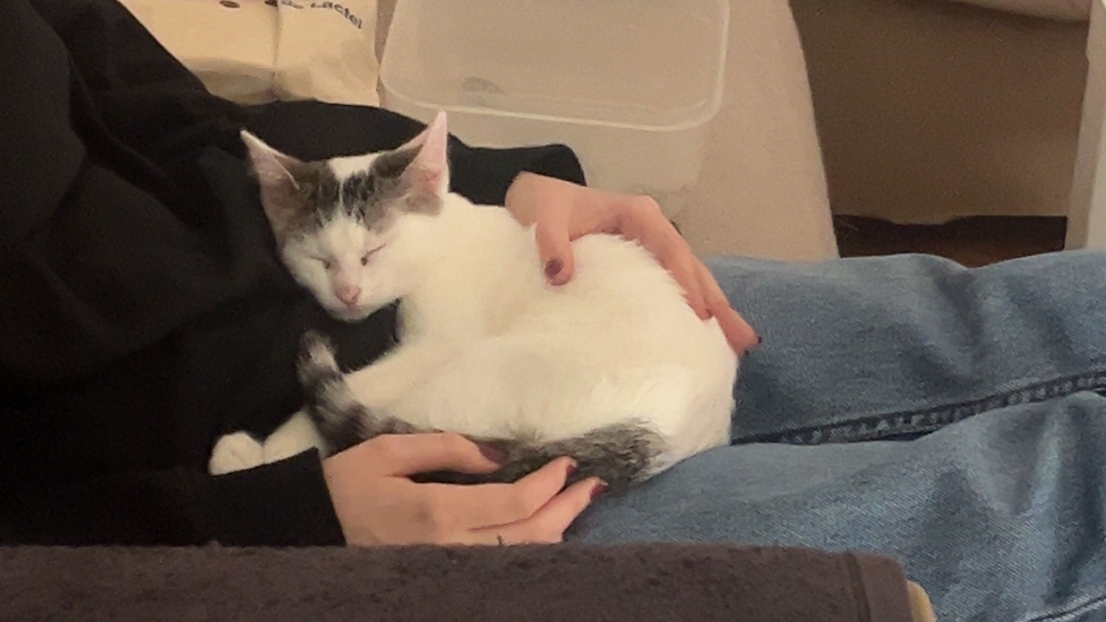 image-6