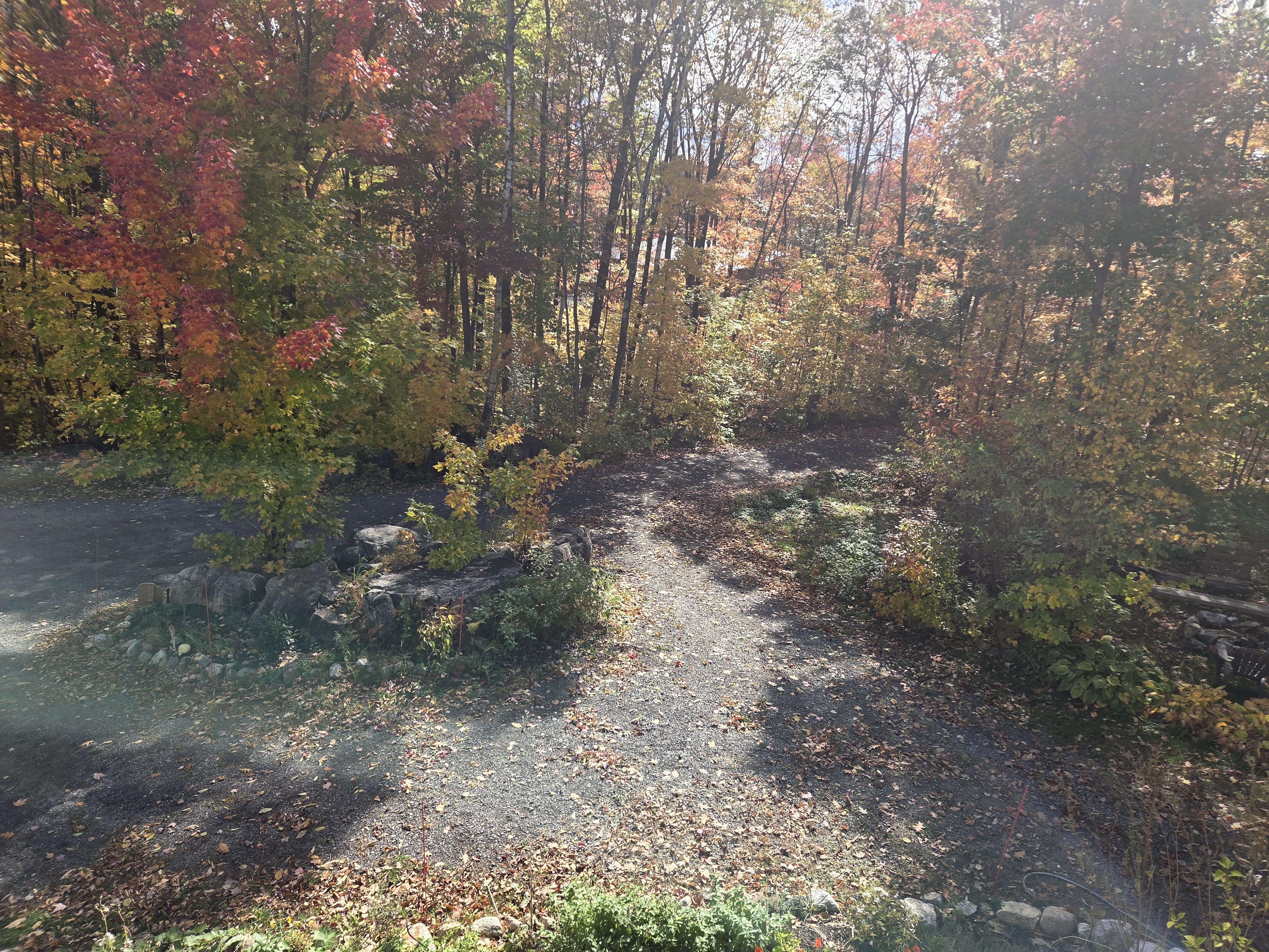 image-20