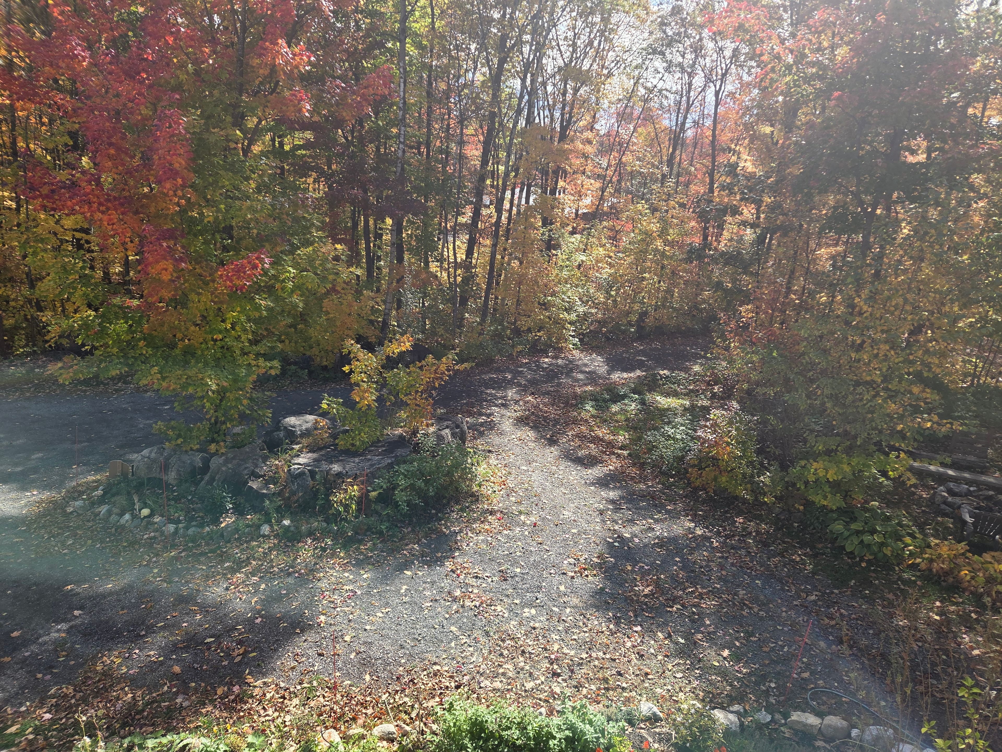 image-20
