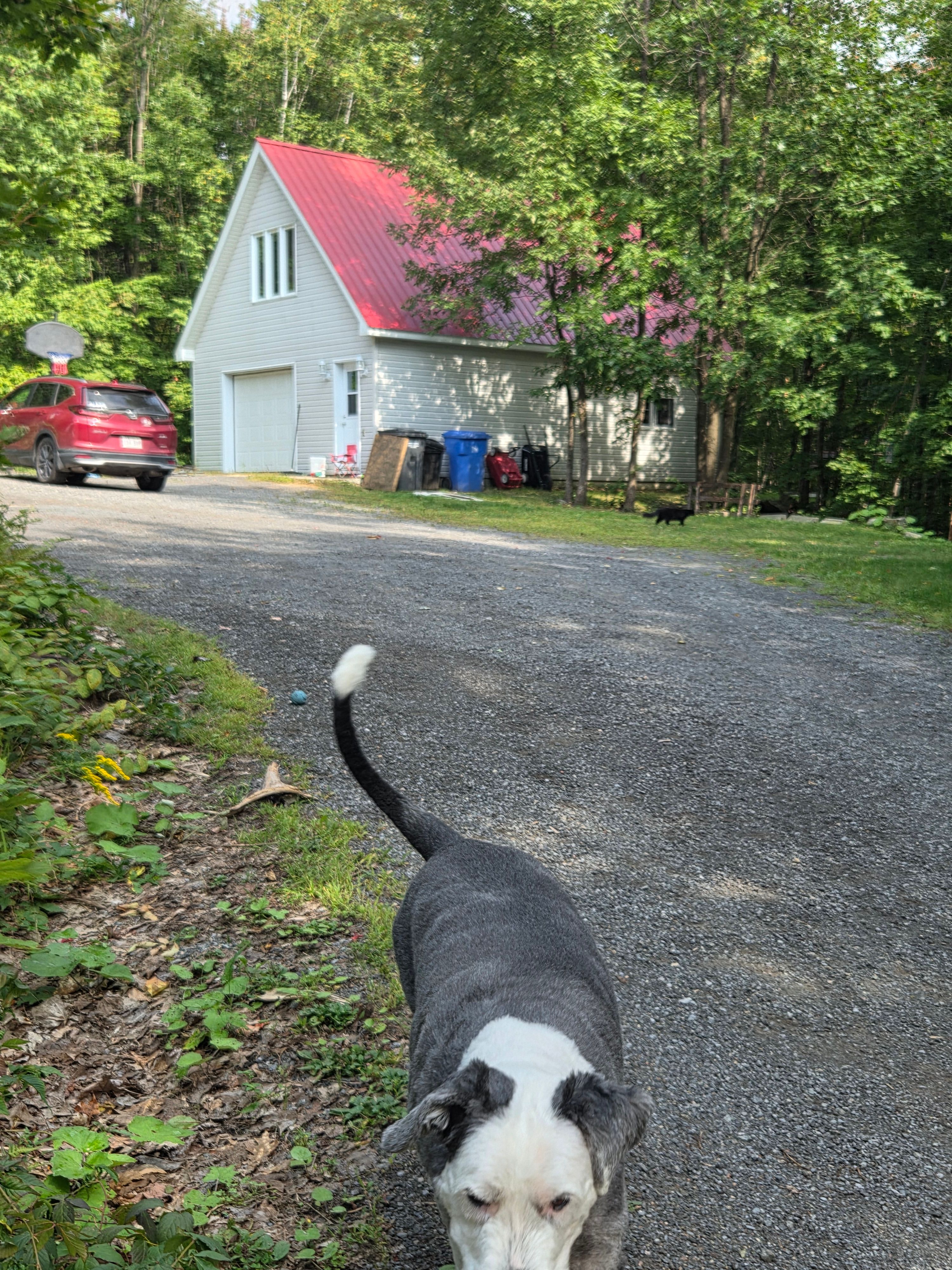 image-16