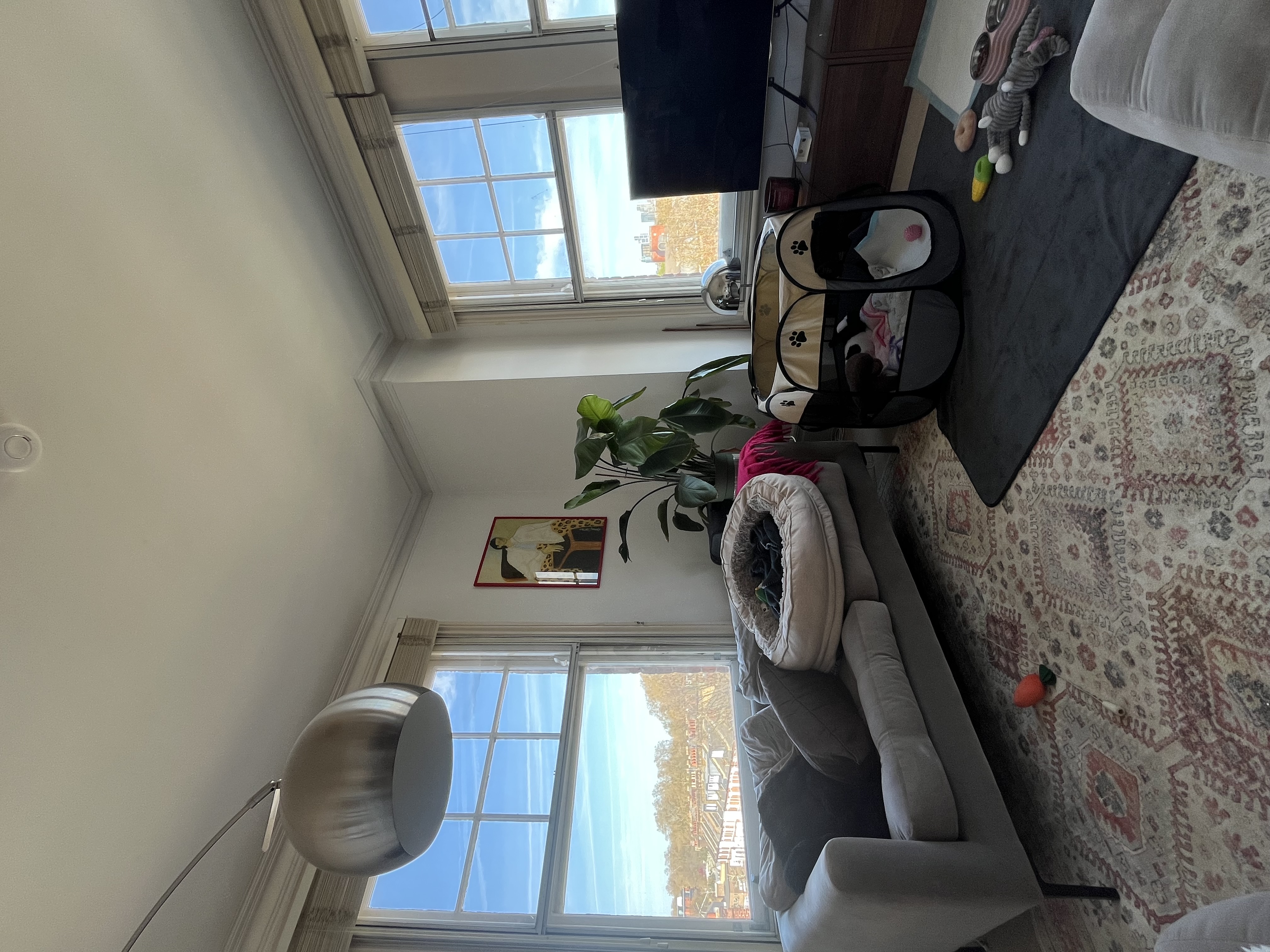 image-14