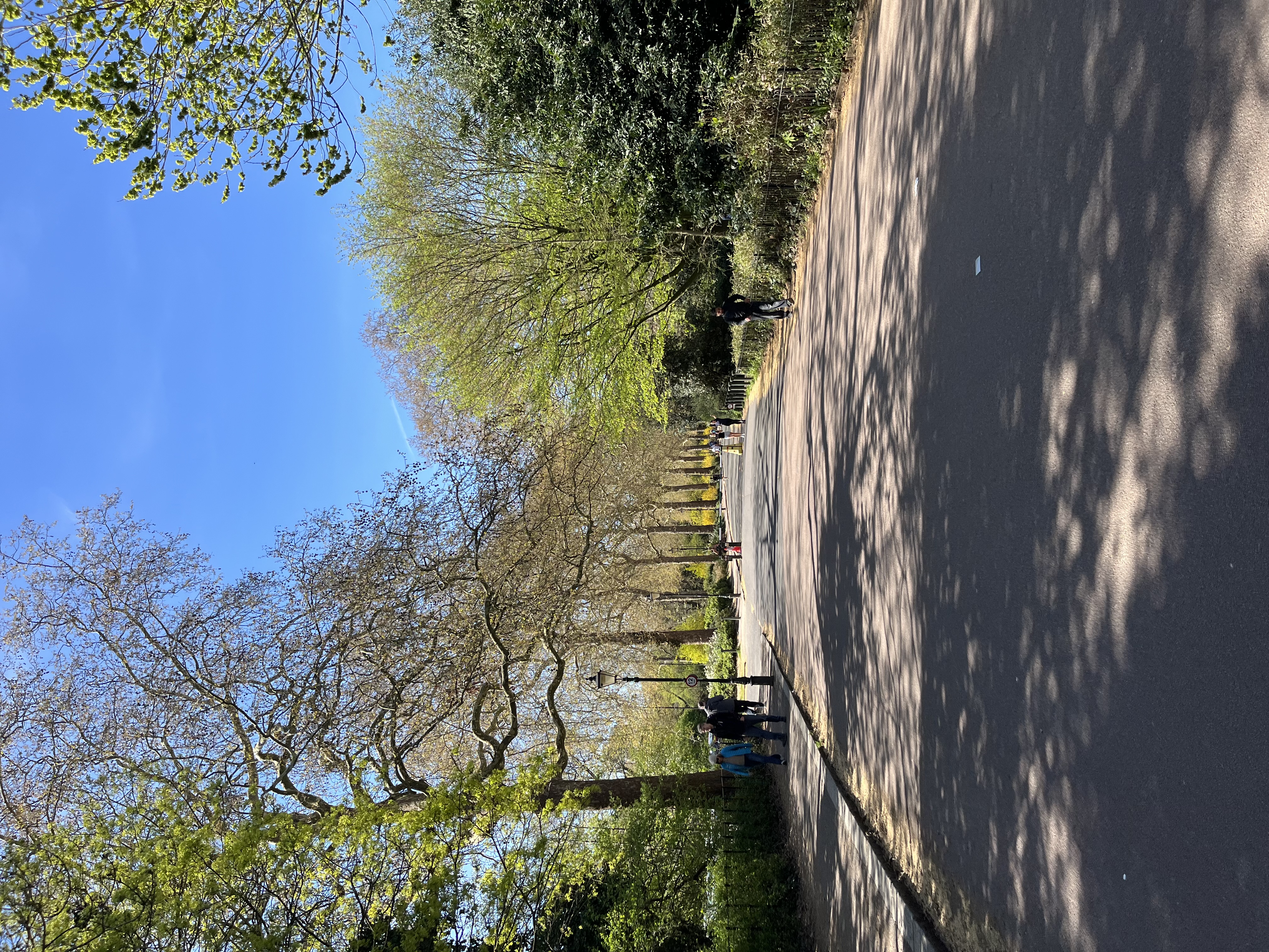 image-16