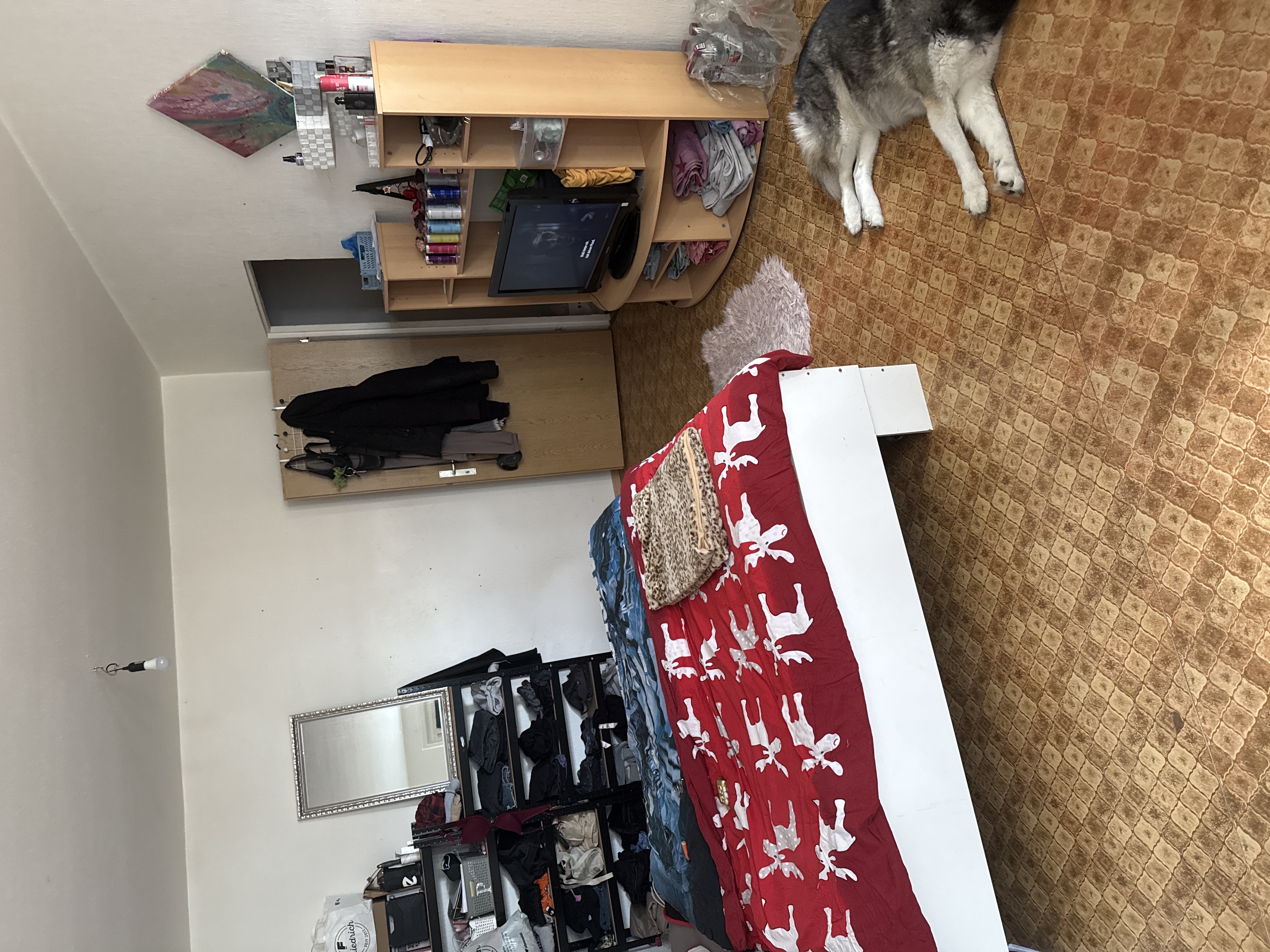 image-18