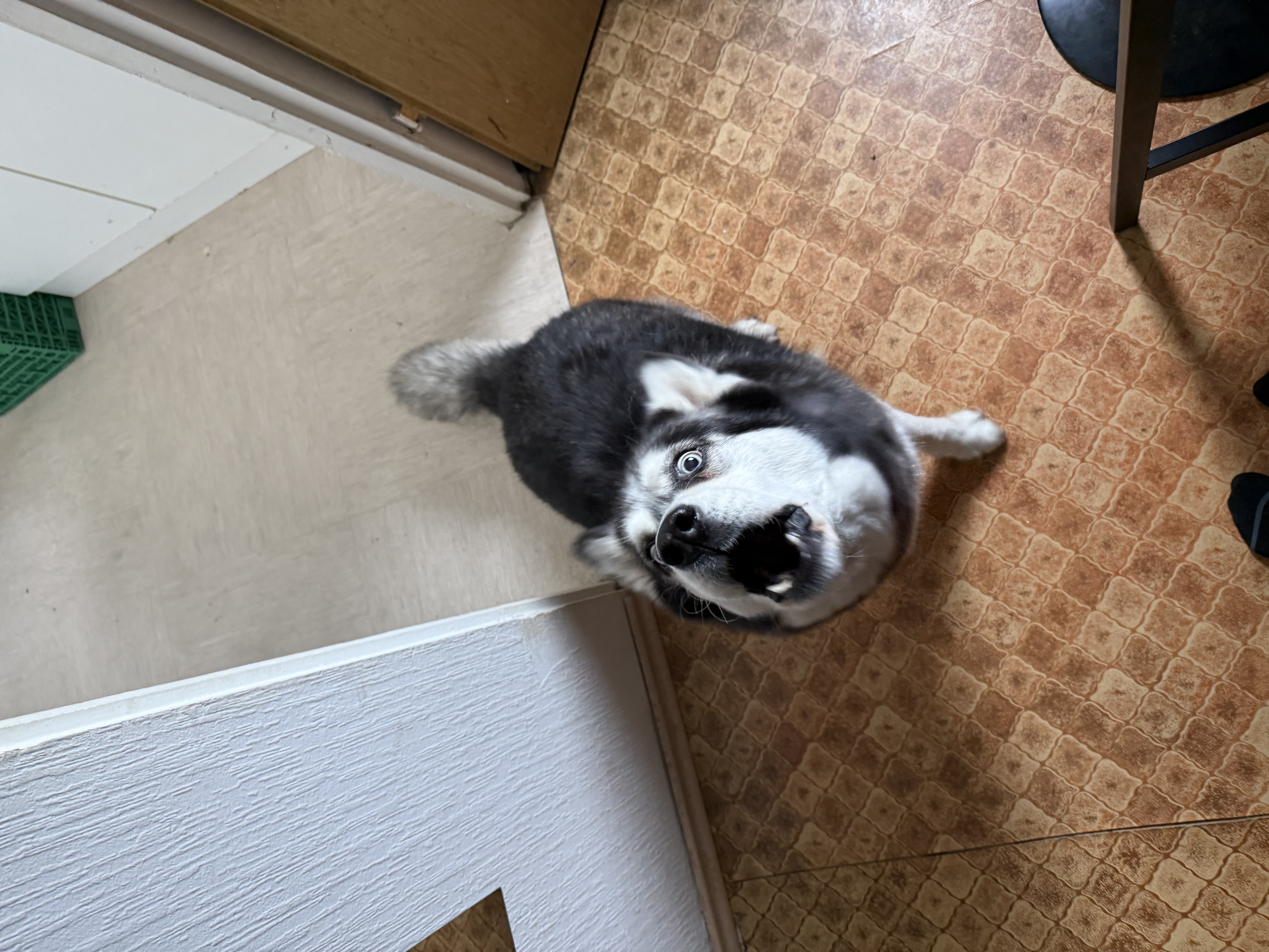 image-12