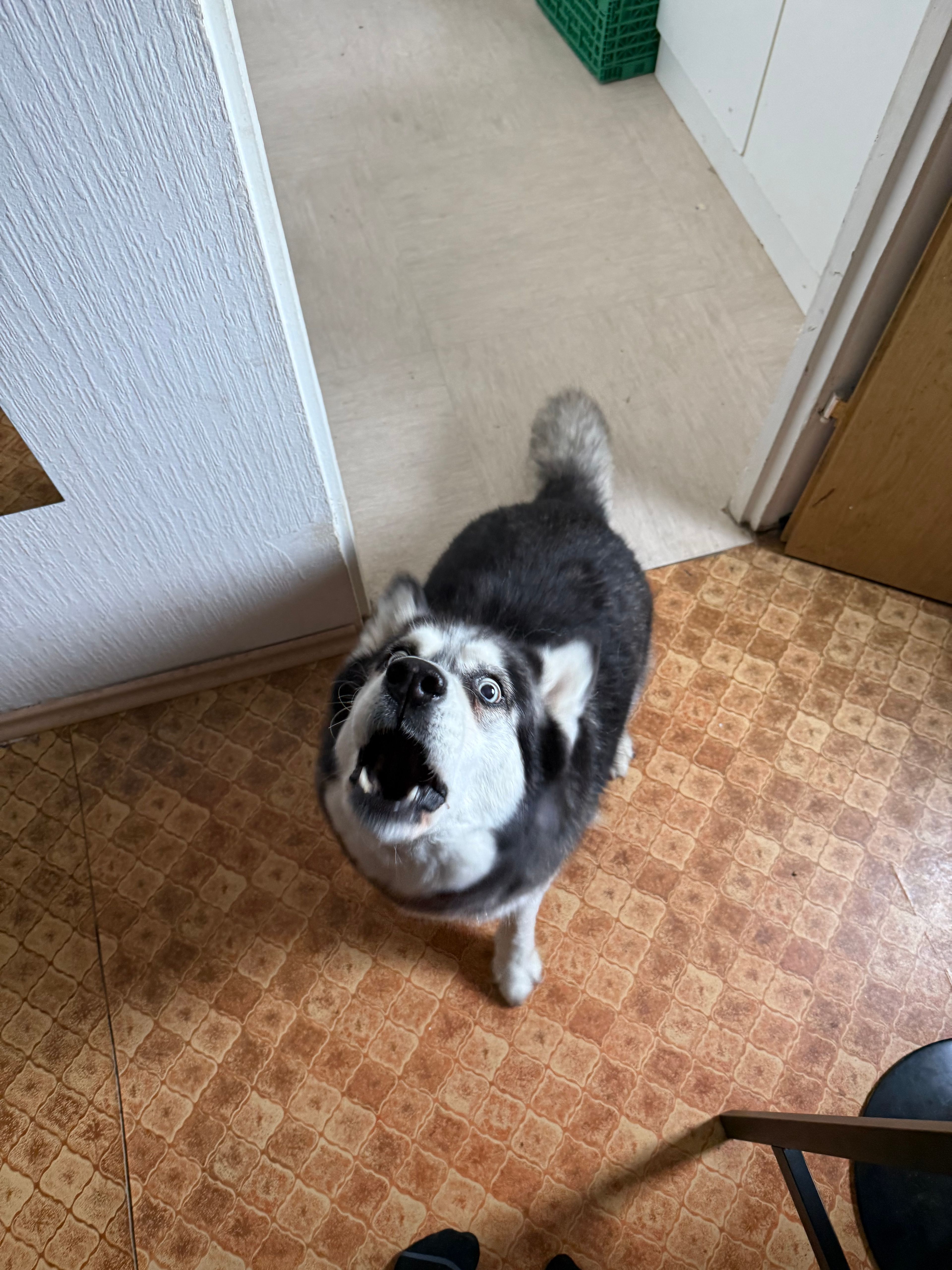 image-12