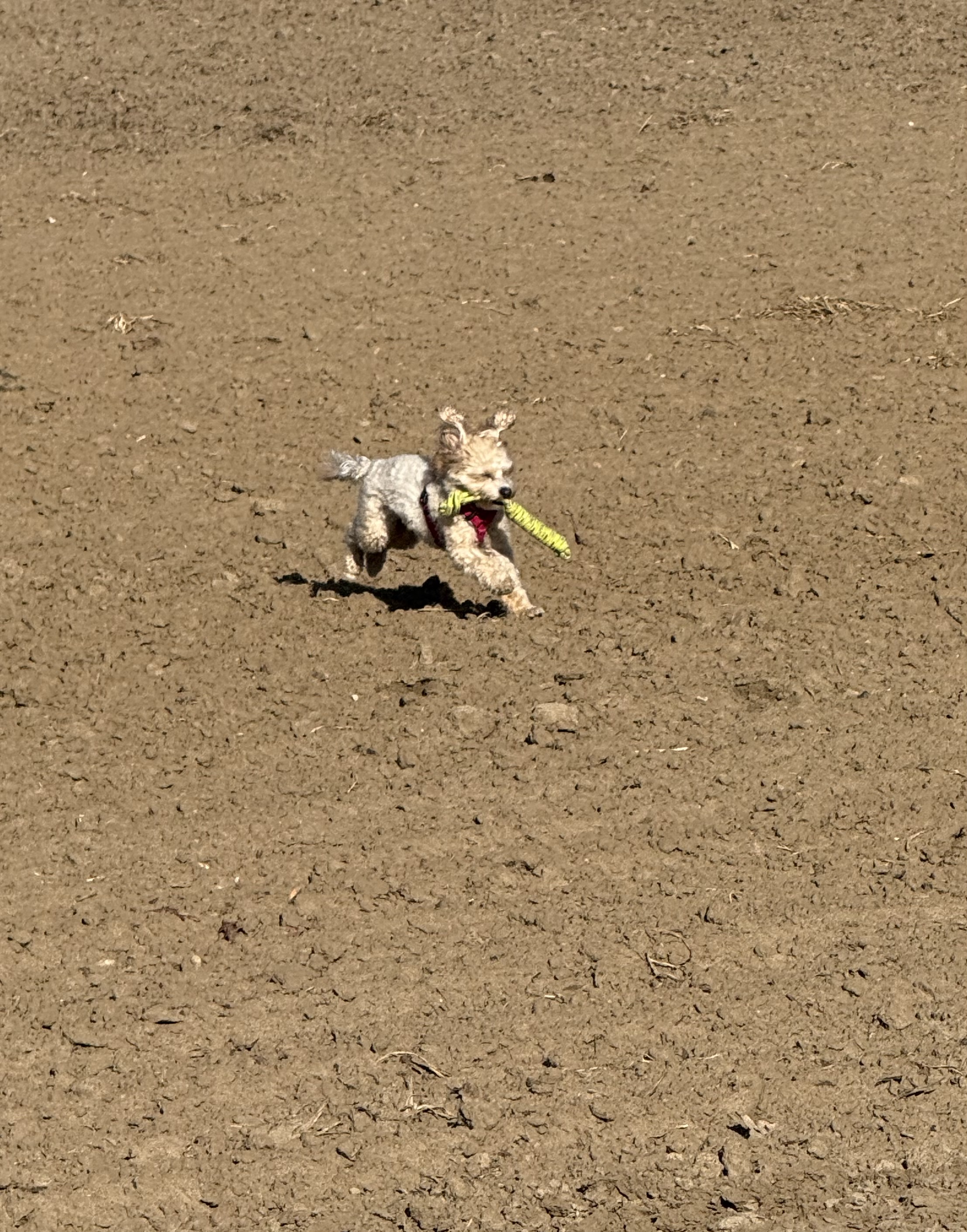 image-7