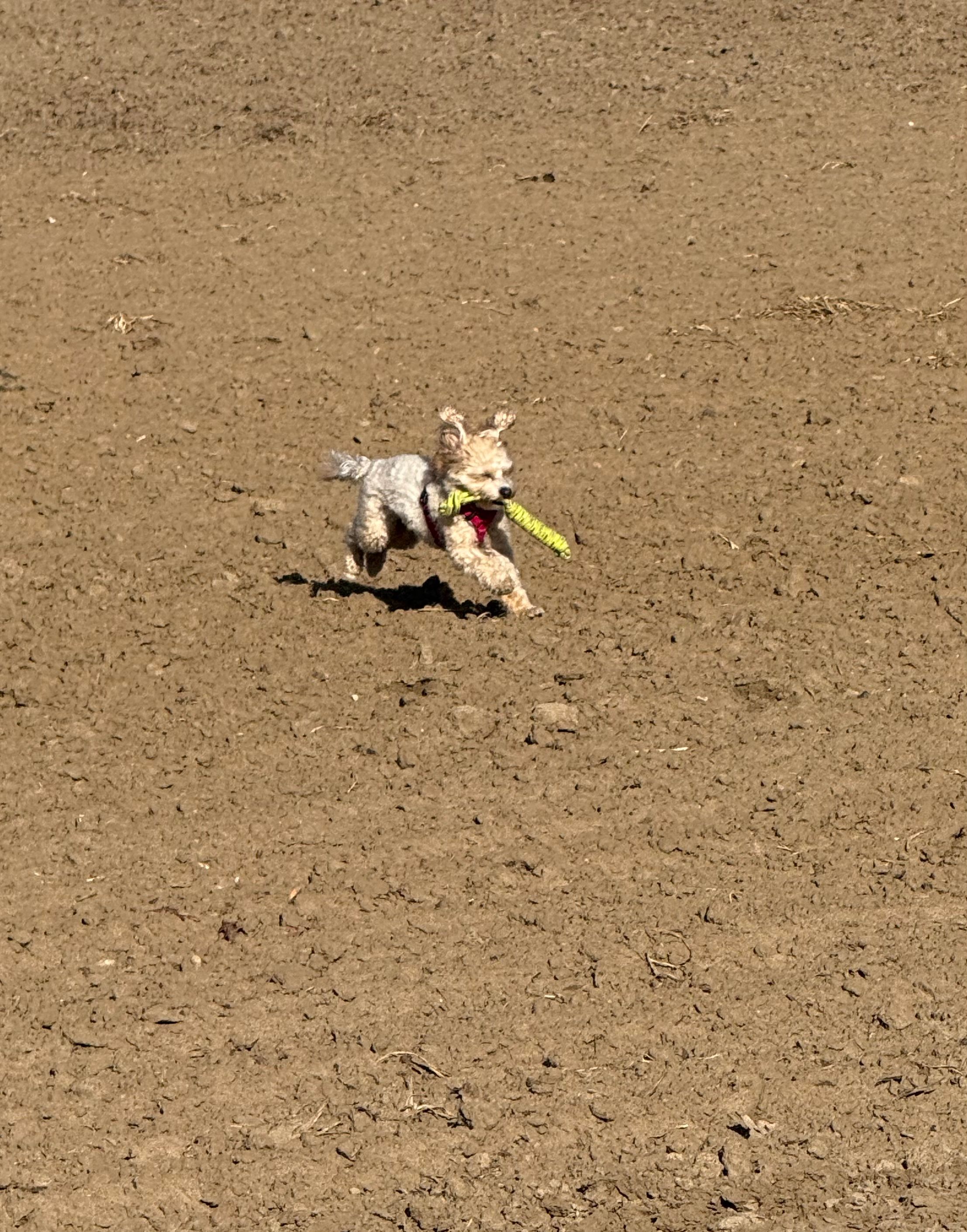 image-7