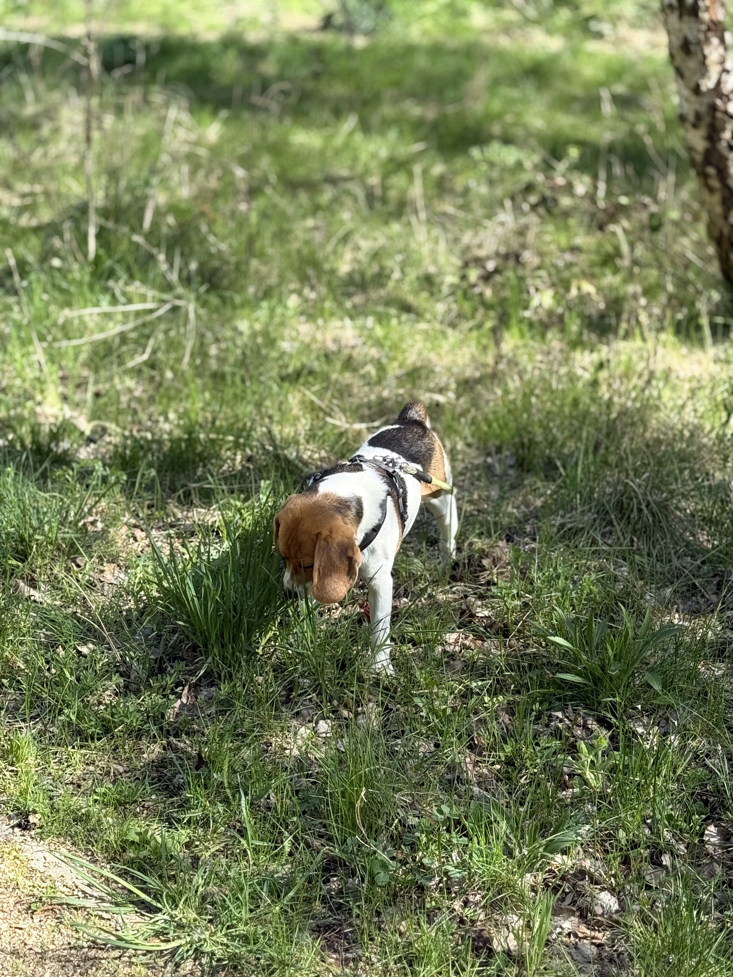 image-14