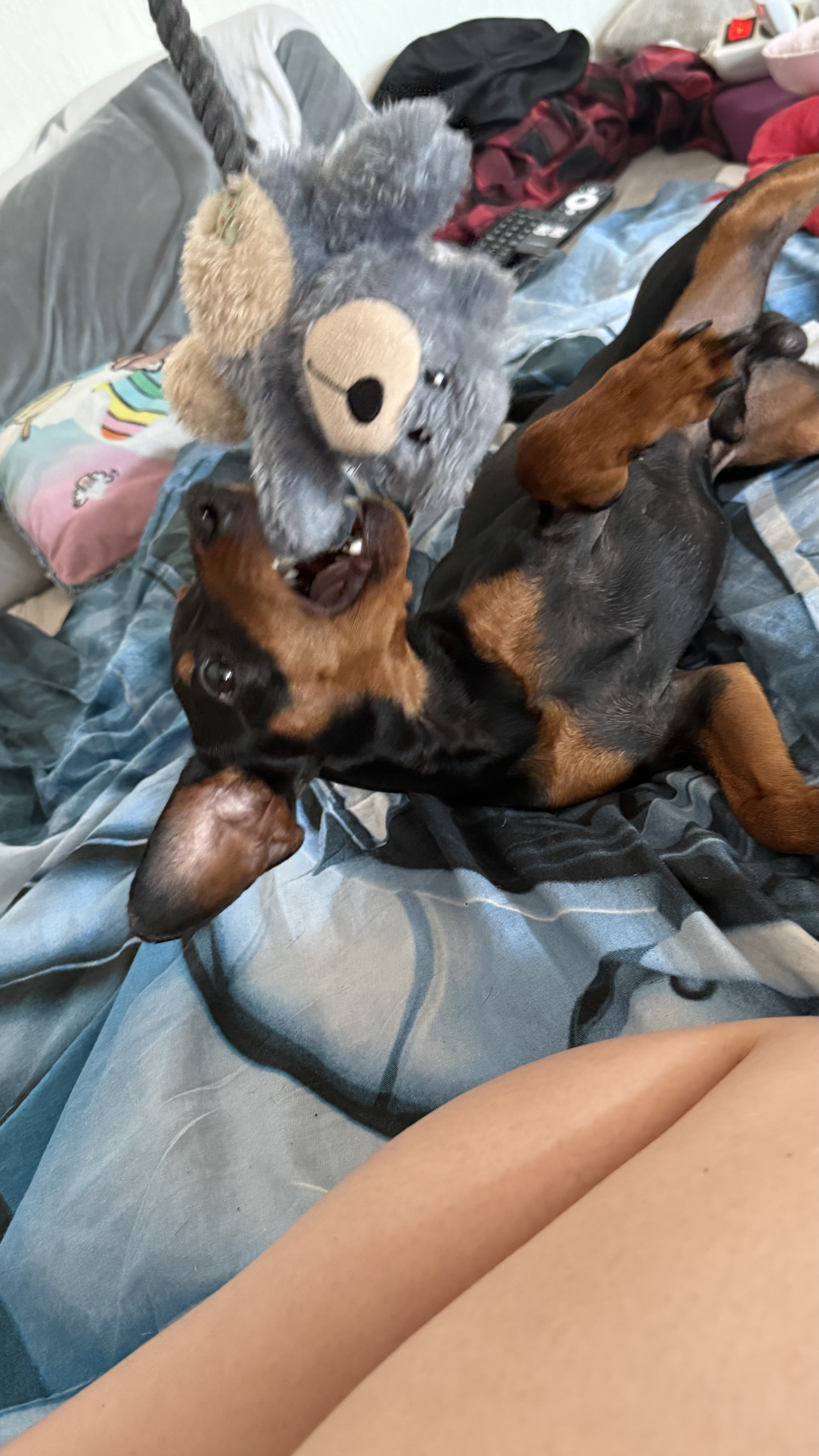 image-9