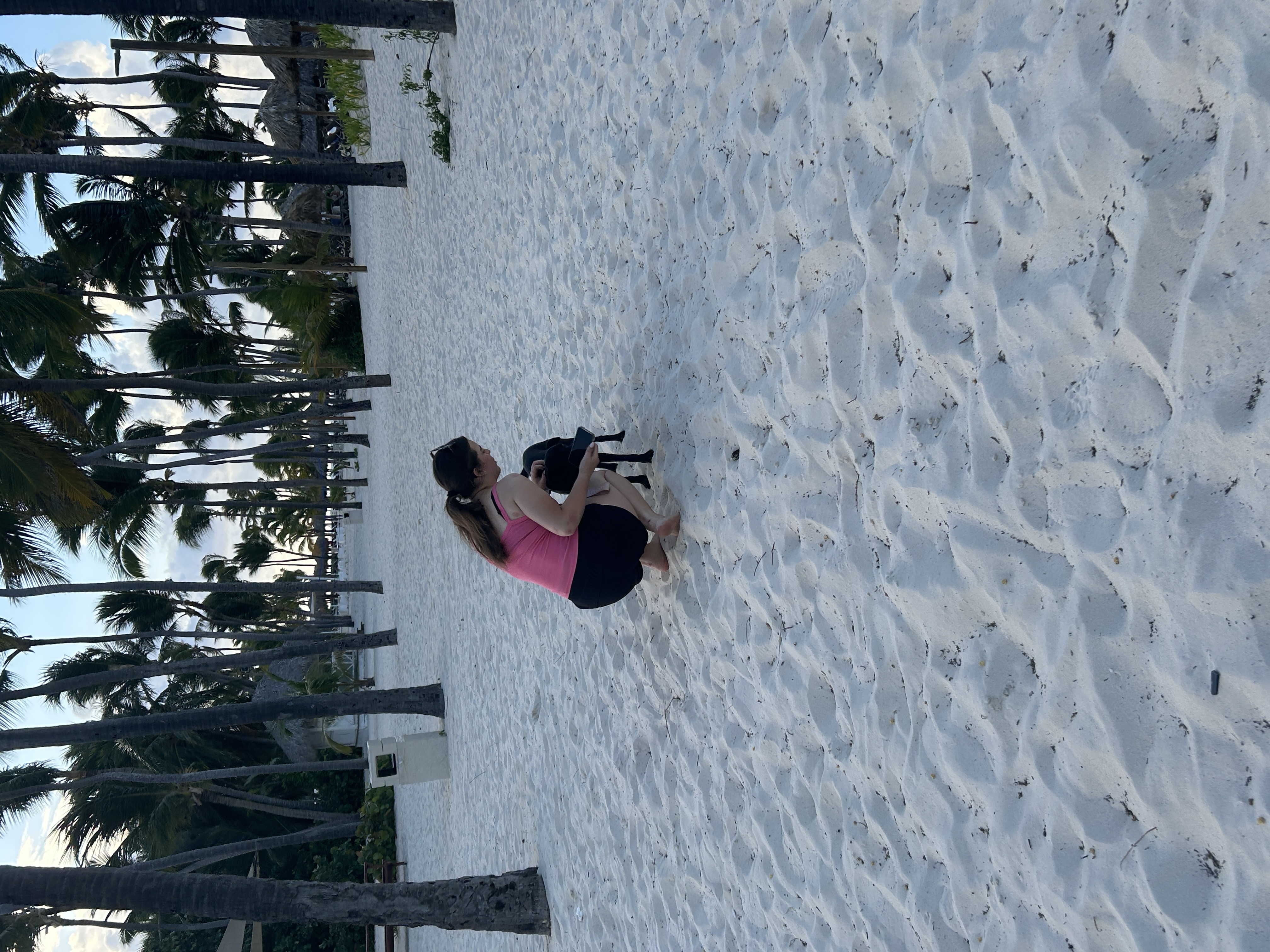 image-6