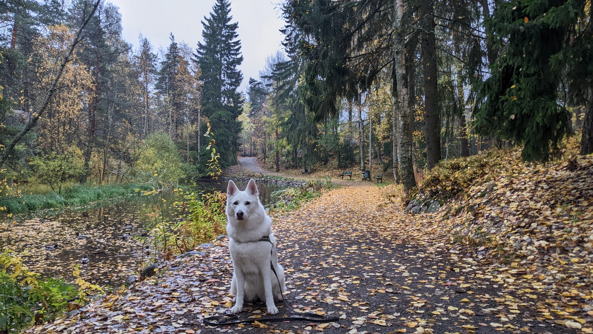 image-14