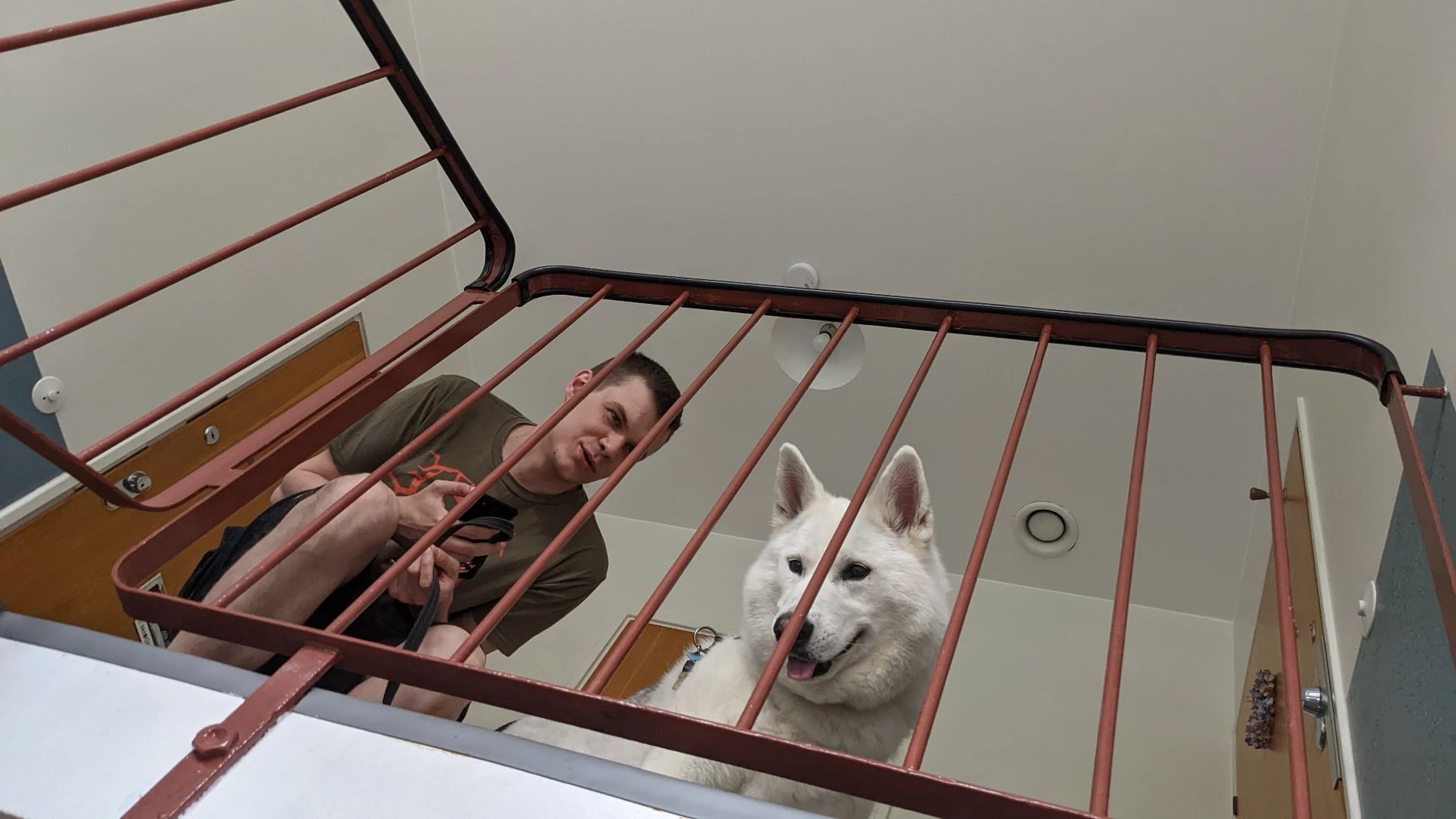 image-6