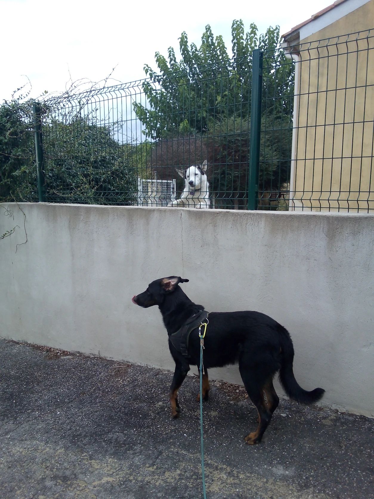image-14