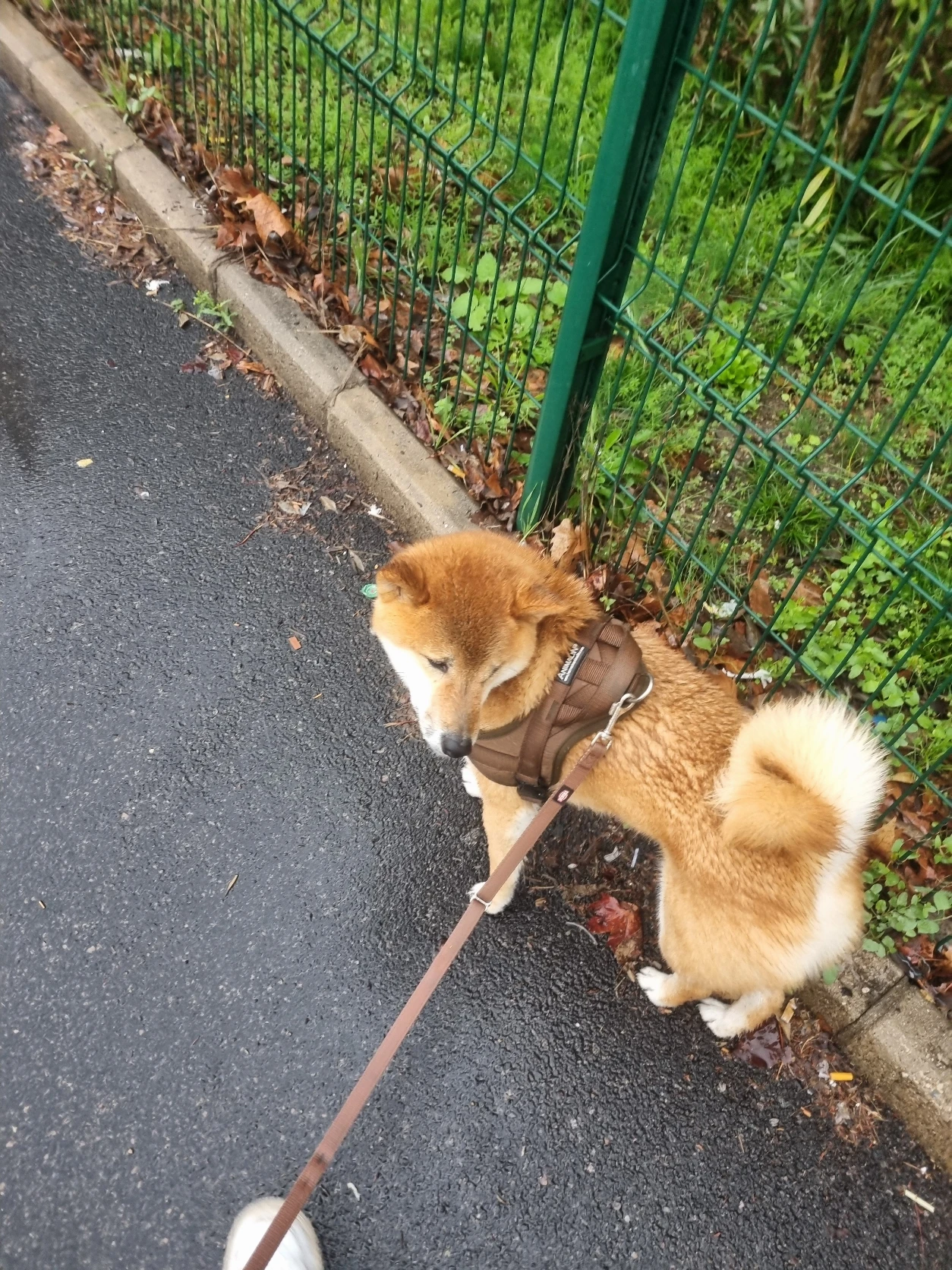 image-11