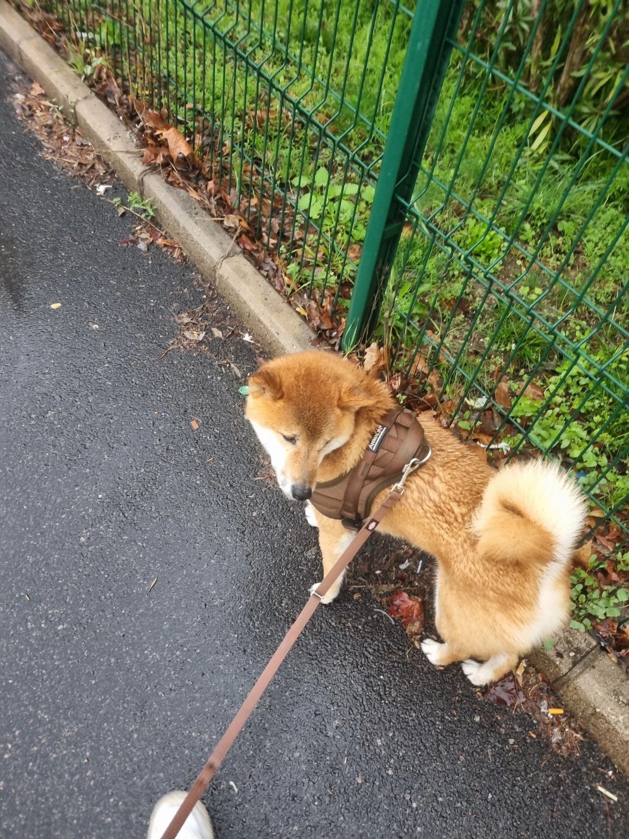 image-11