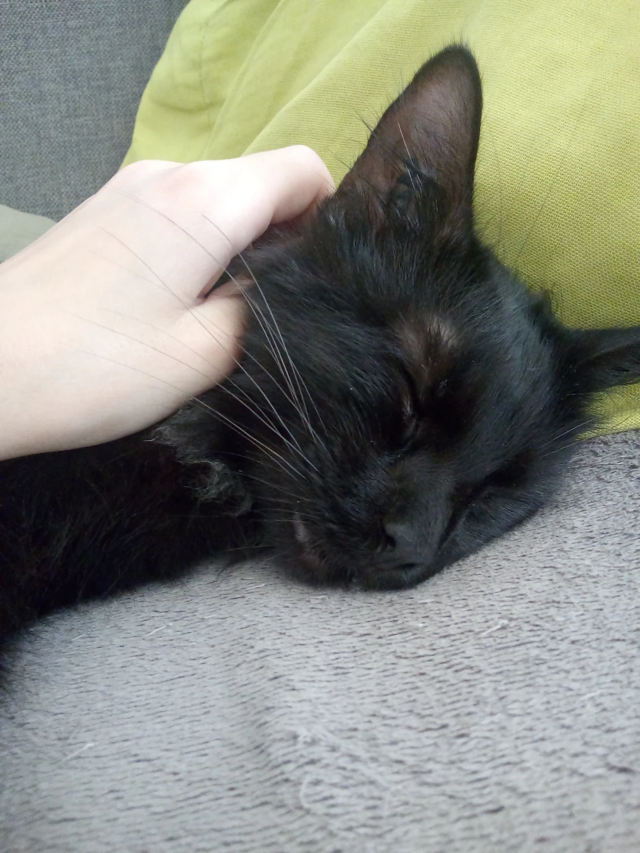 image-7