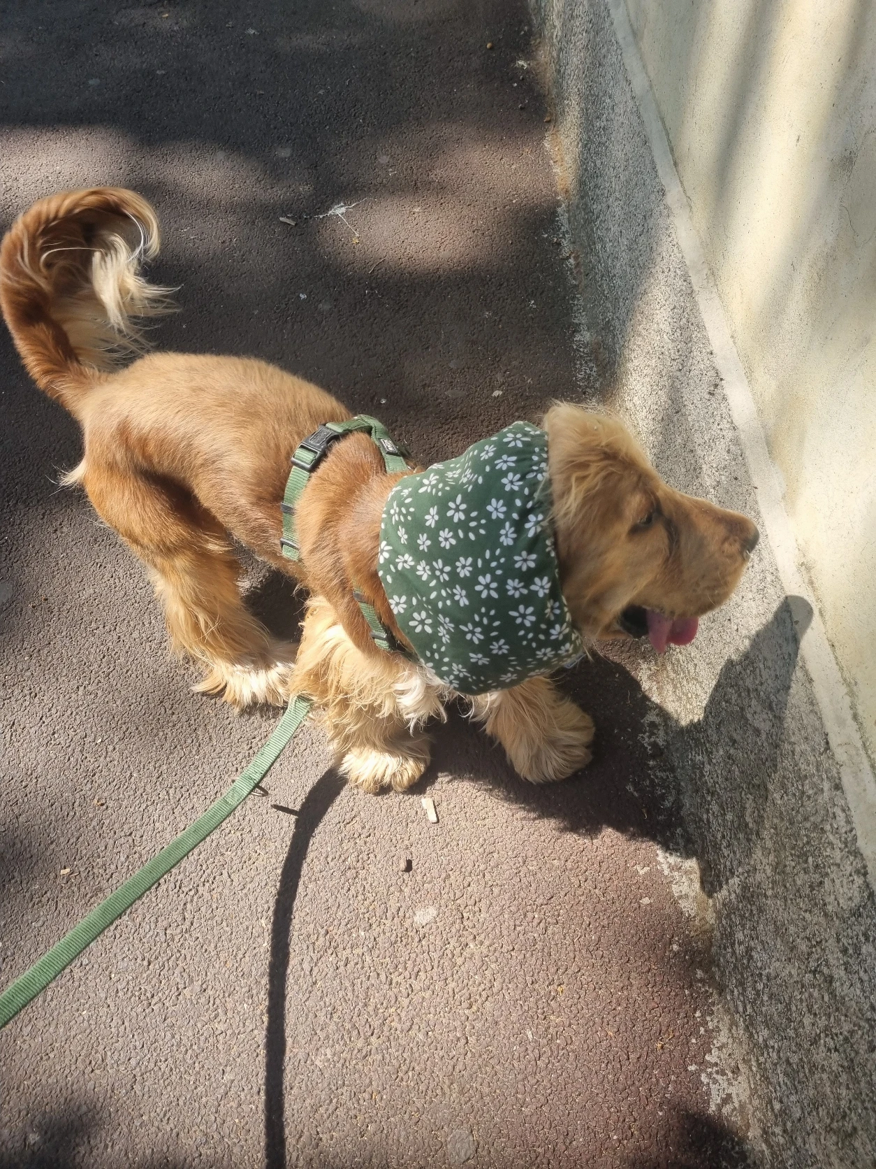 image-8