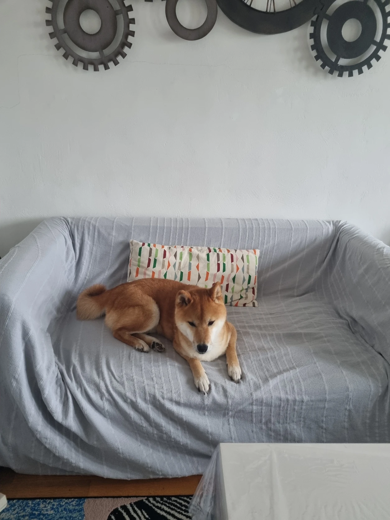 image-18
