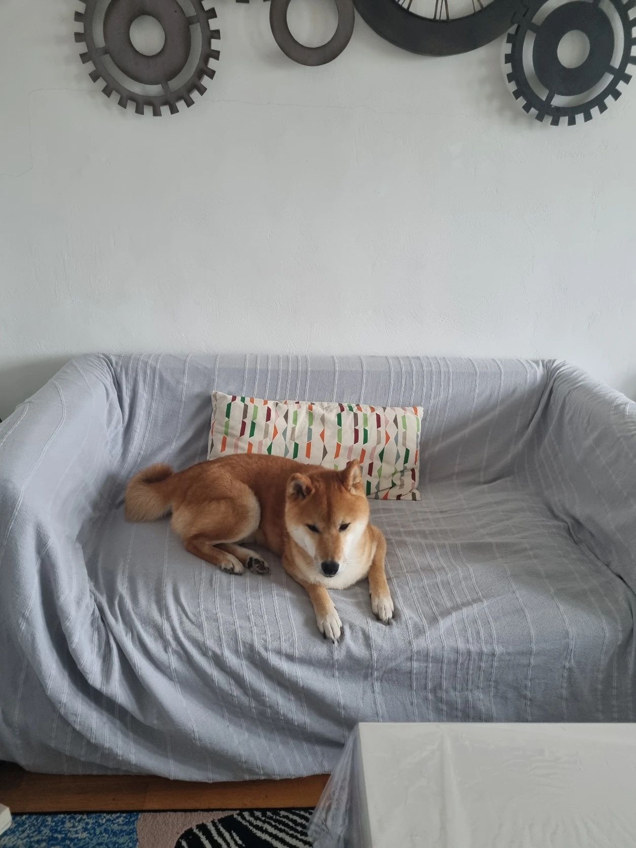 image-18