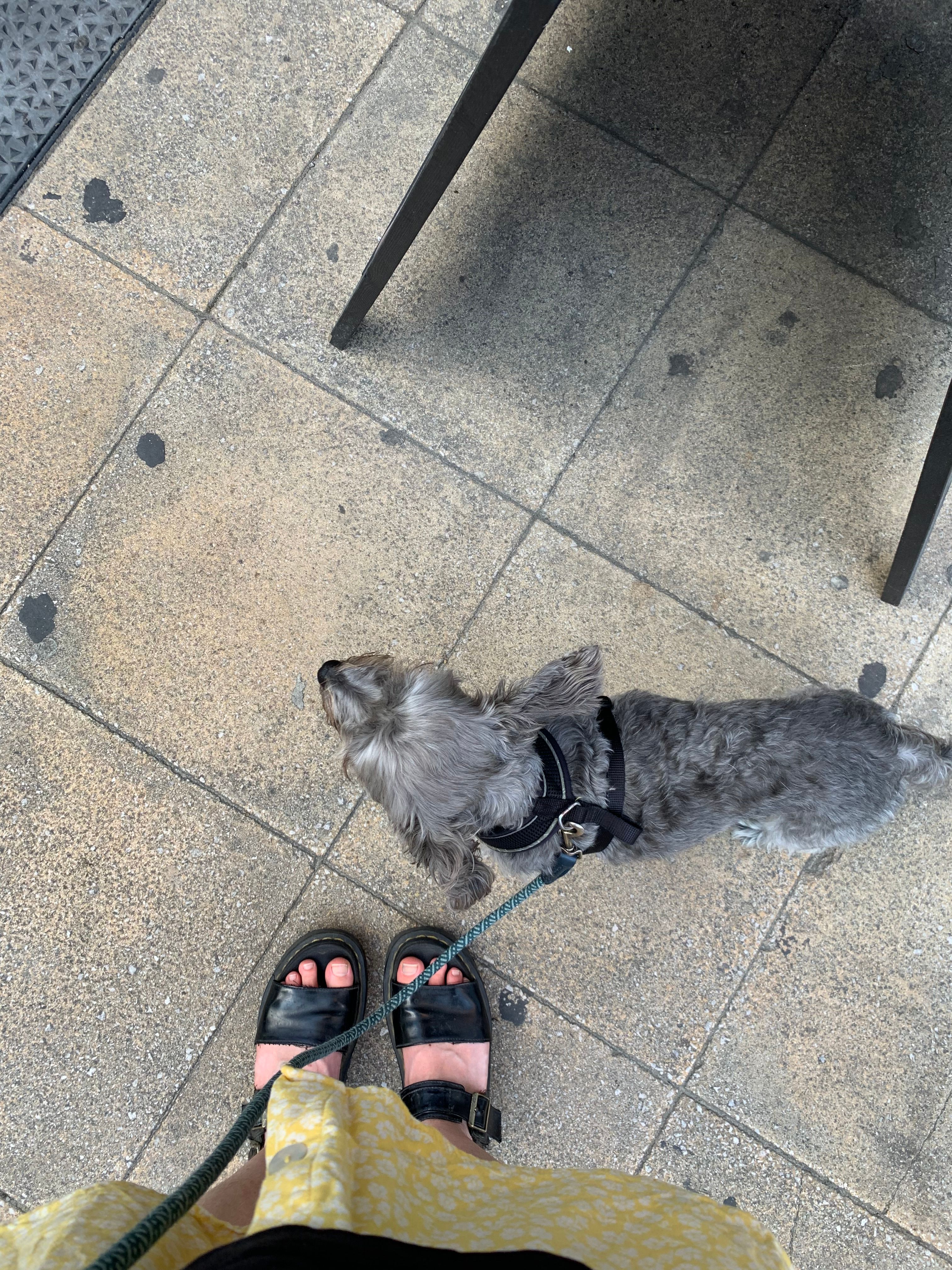 image-11