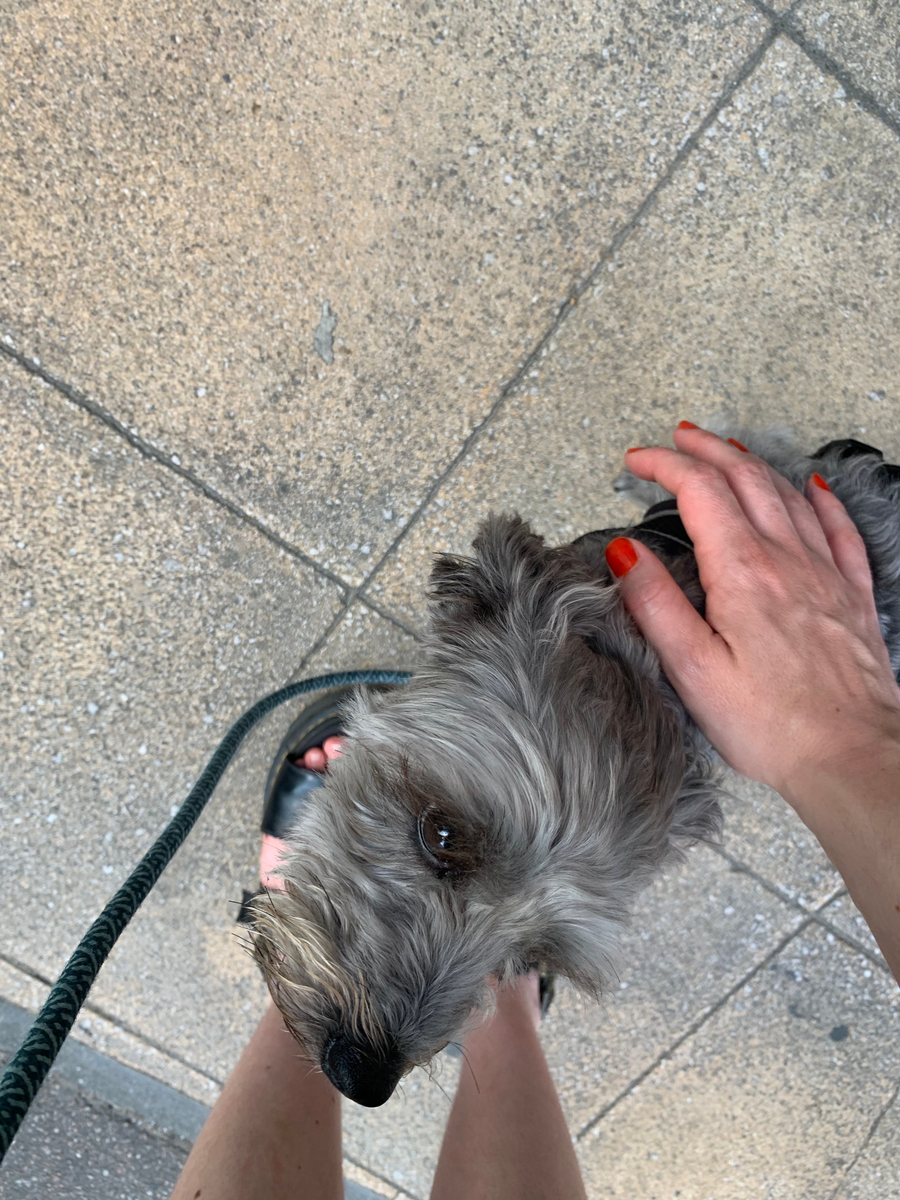 image-8
