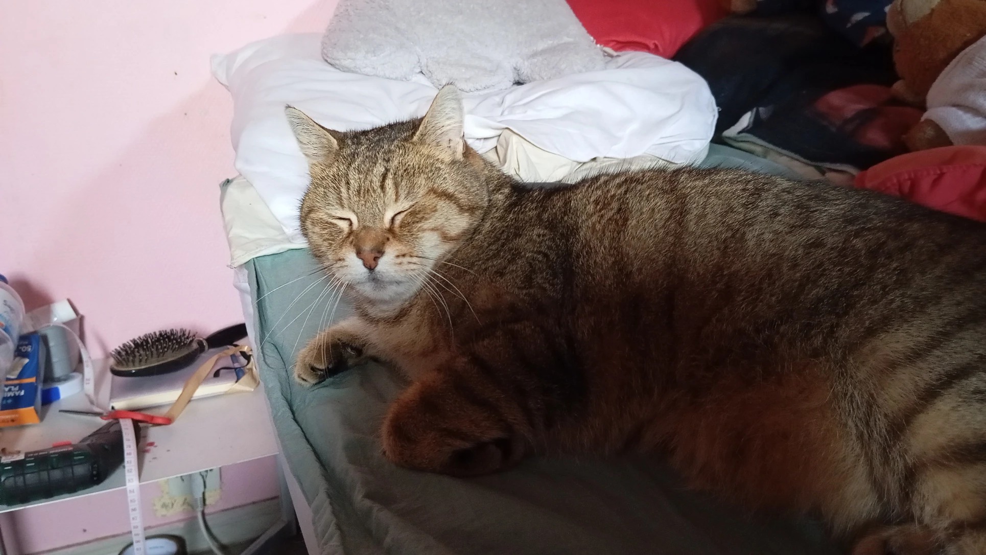 image-6