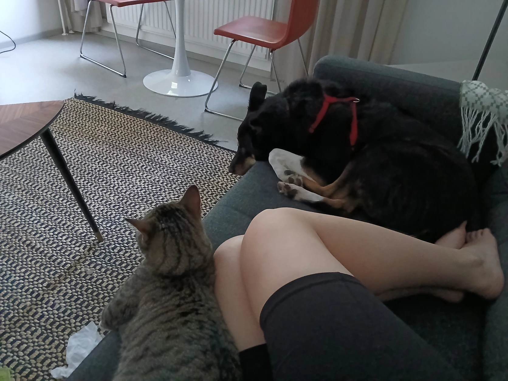 image-7