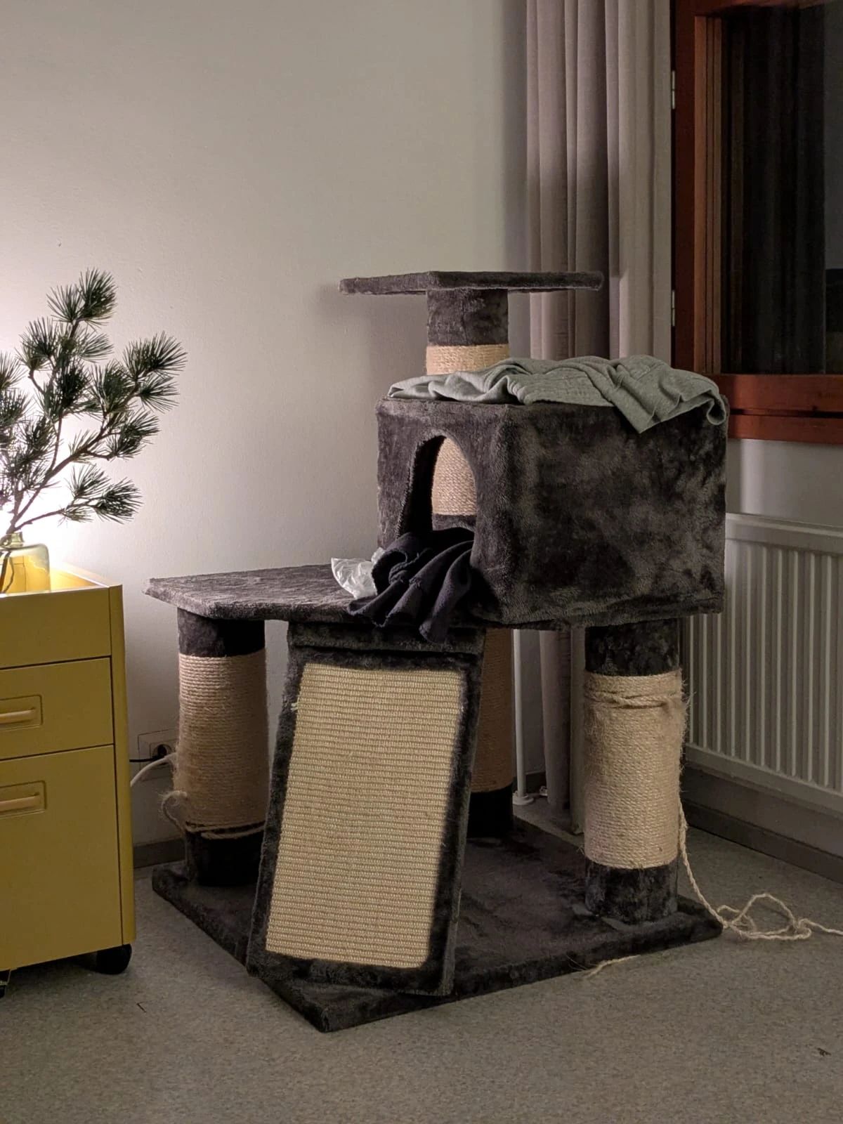 image-12