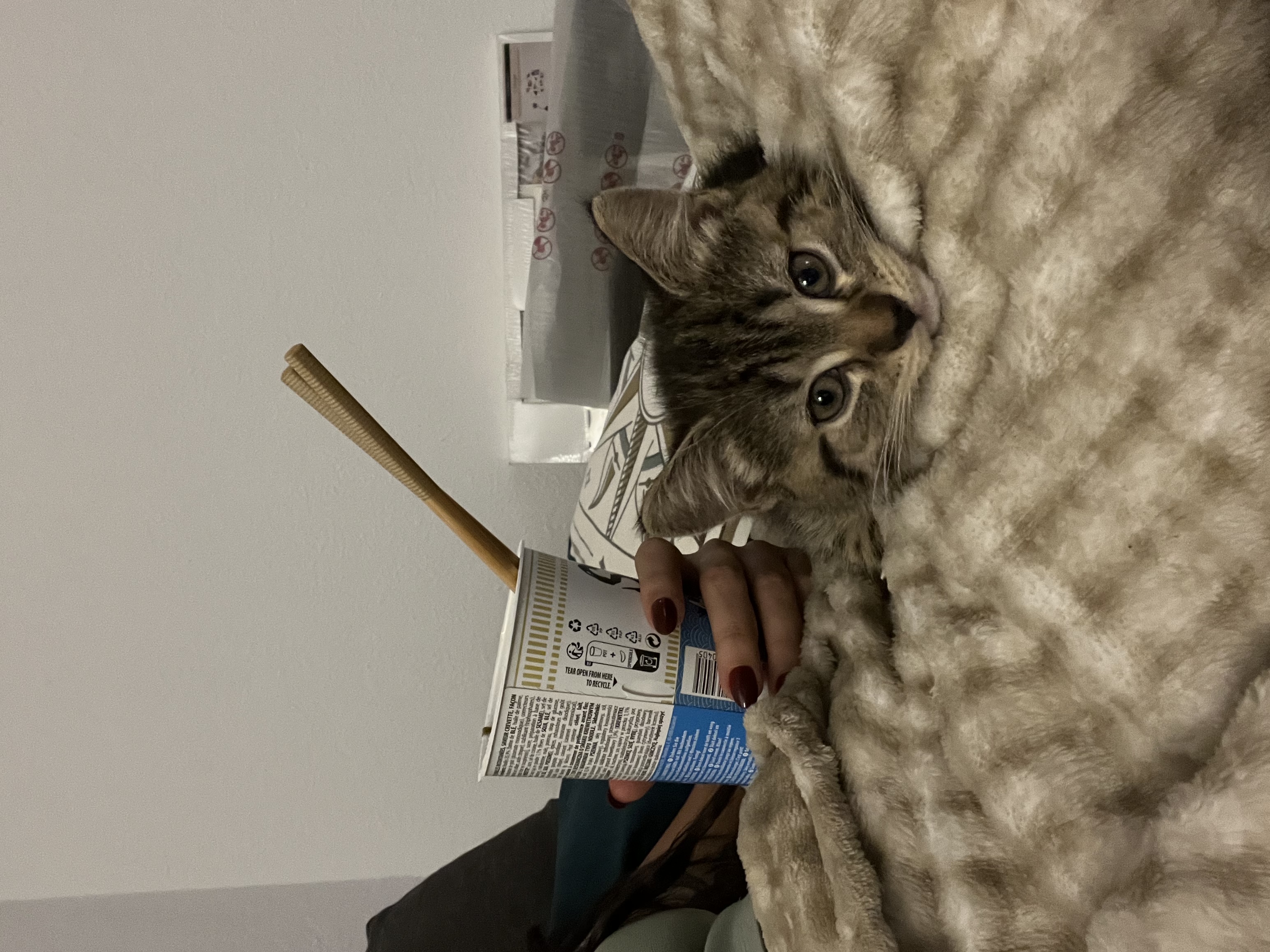 image-7