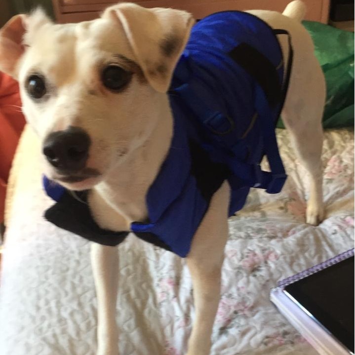 Benito