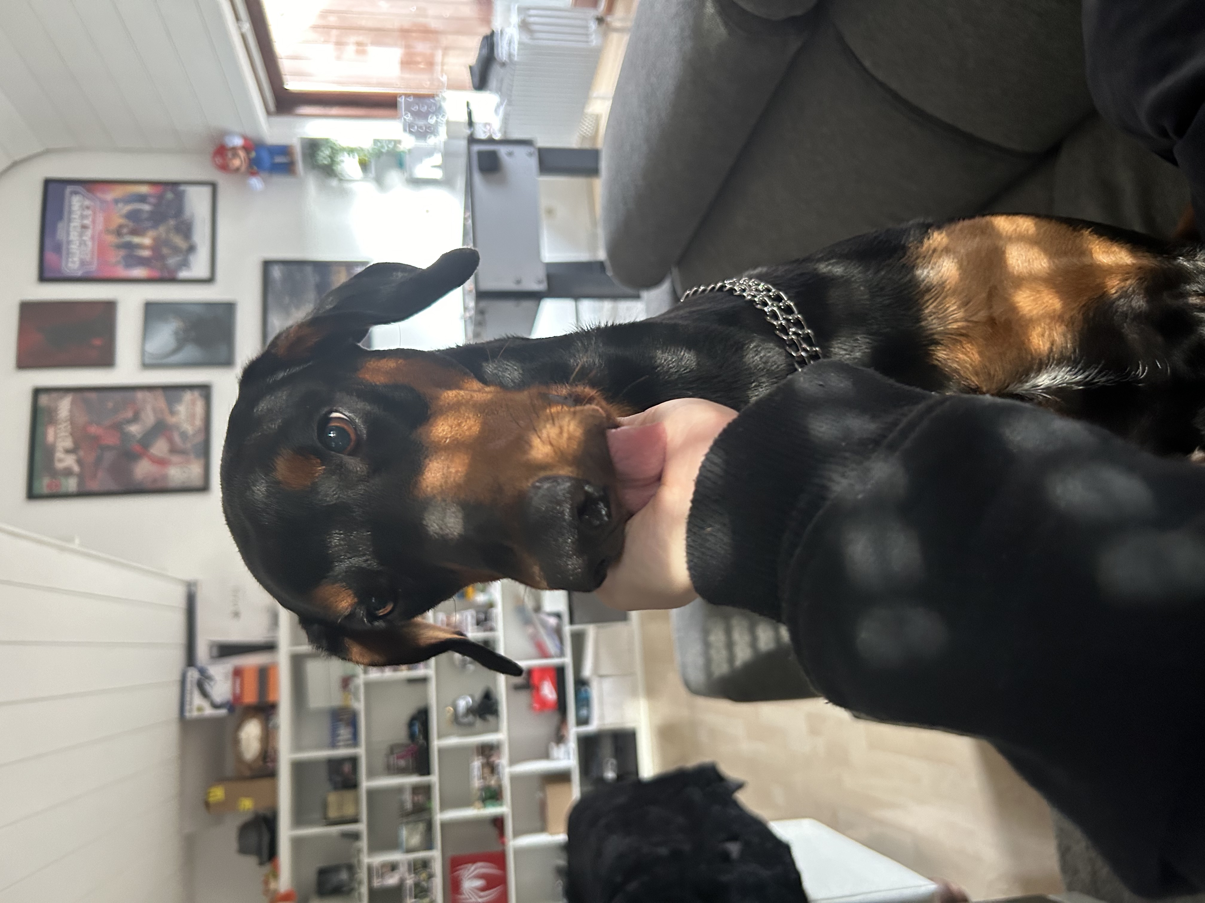 image-8